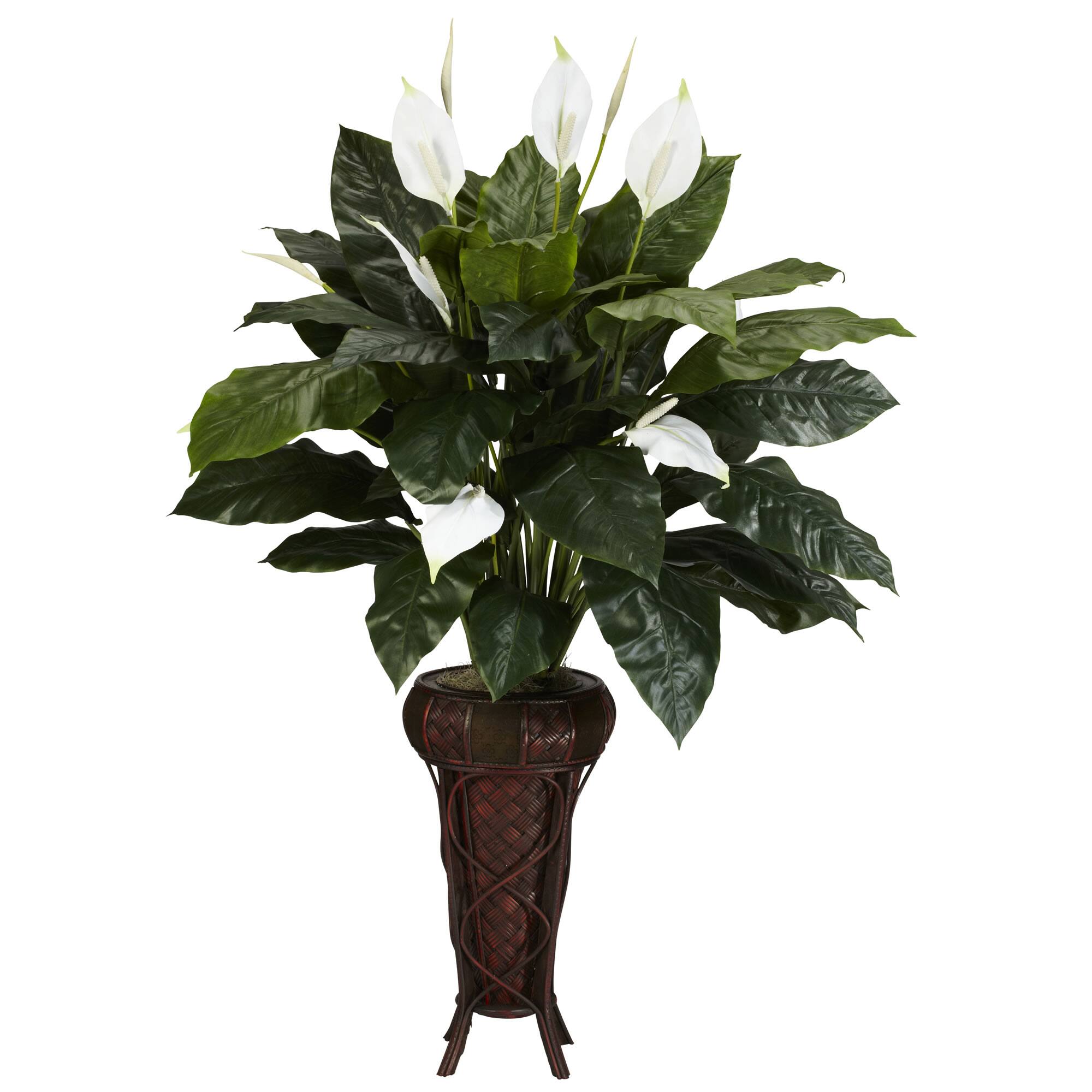 4.75ft. Peace Lily Plant in Stand Michaels