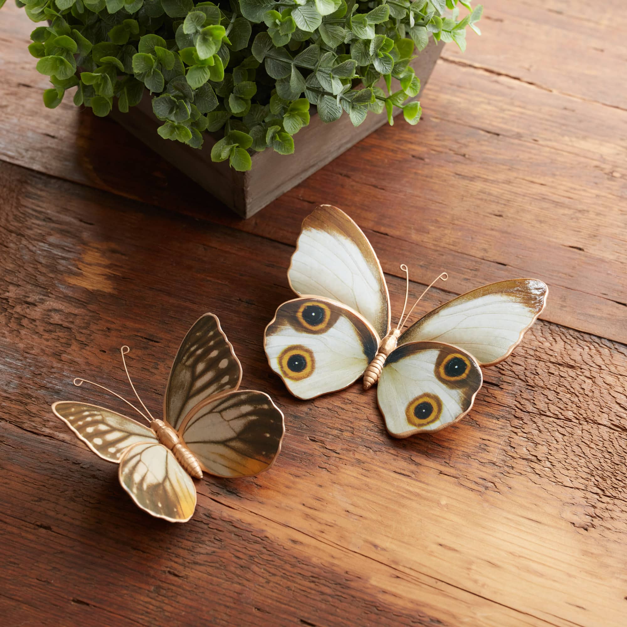 Amber Butterfly & Moth Shelf Sitter Set