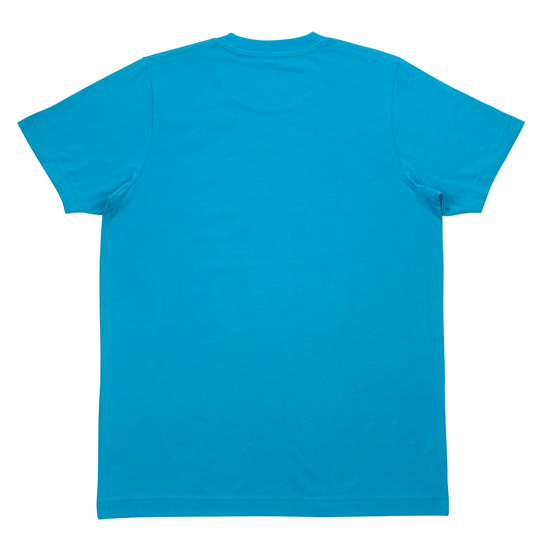 Corgi Traditional Pride Flag Adult T-Shirt by Celebrate It&#x2122;