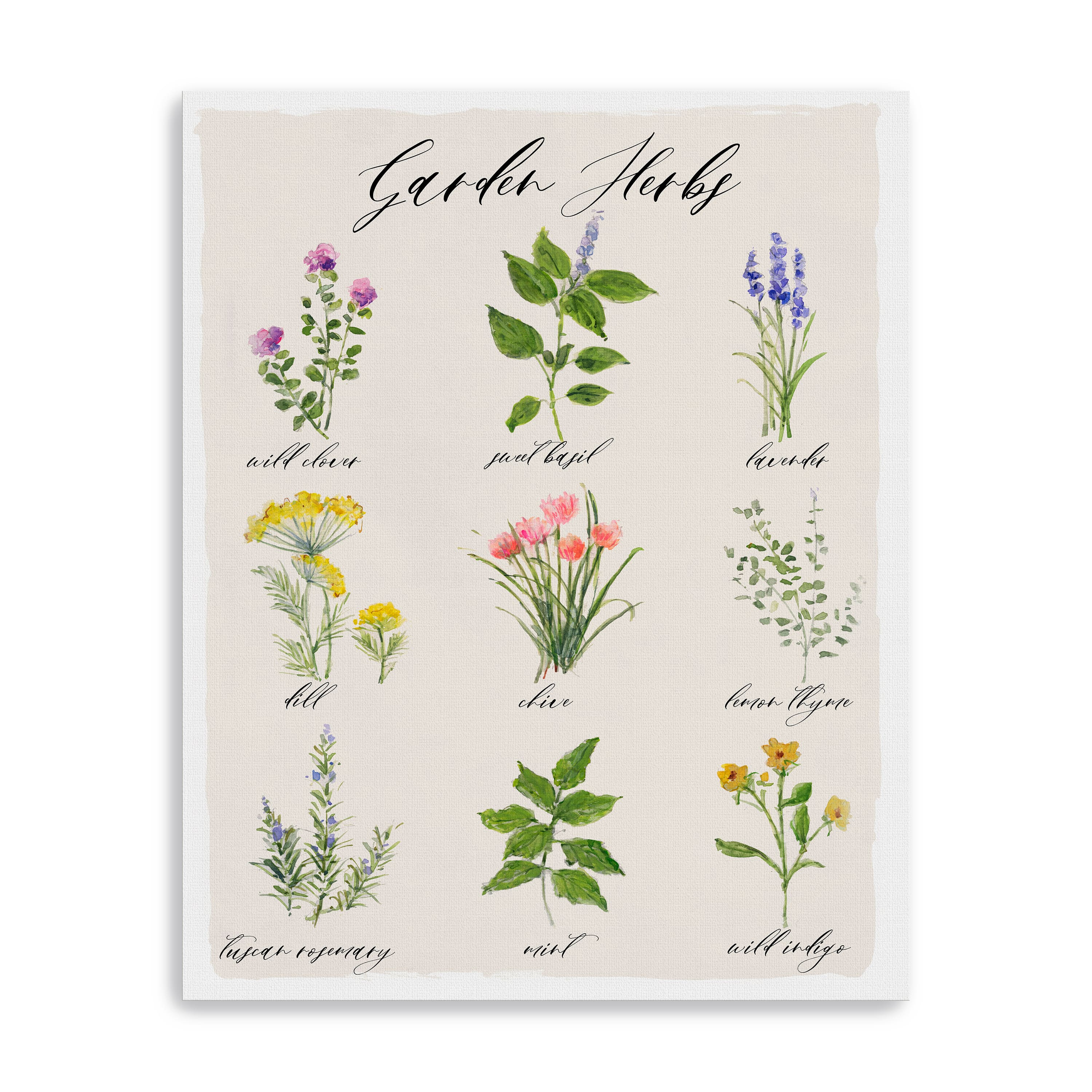 Garden Herbs Canvas Giclee