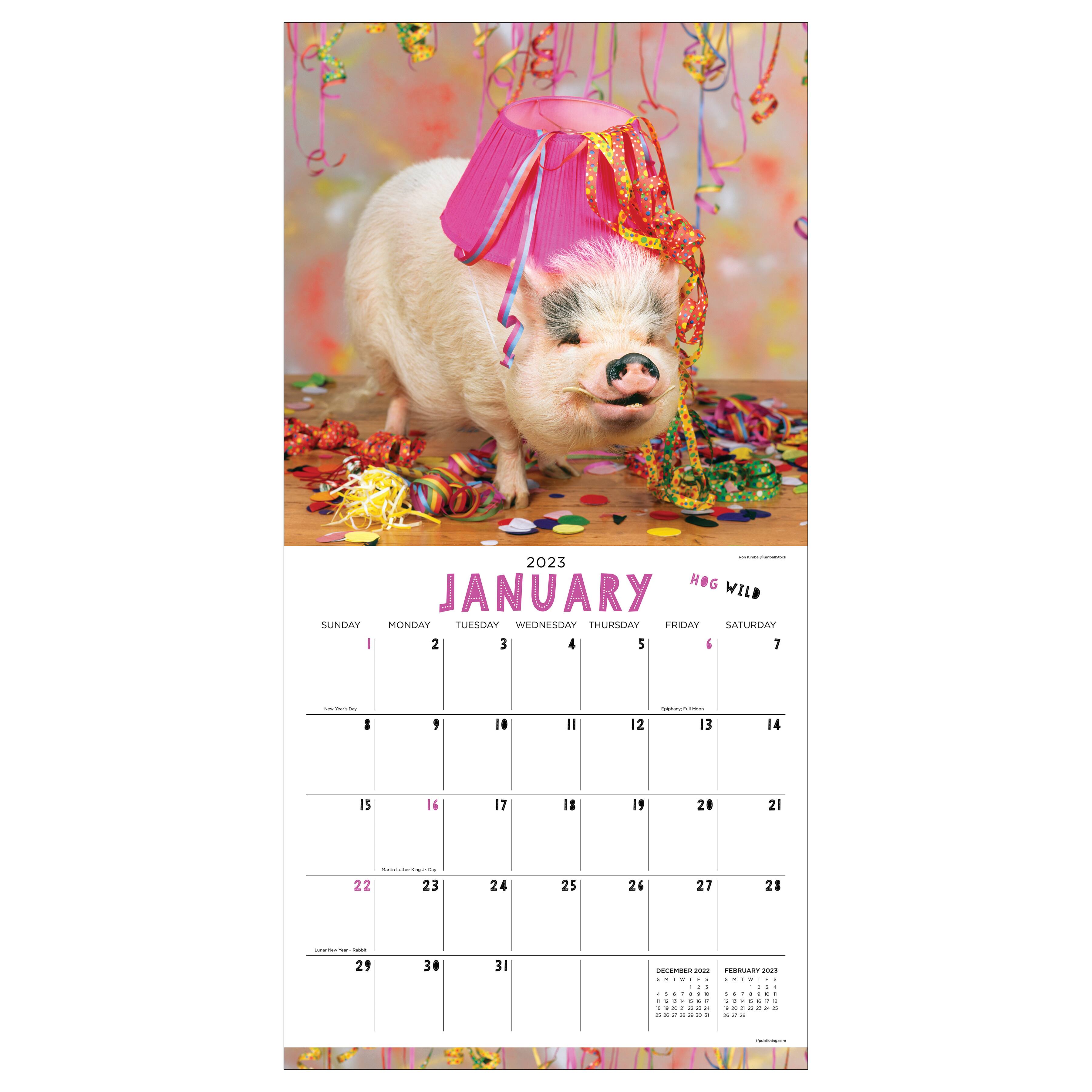 TF Publishing 2023 Playful Pigs Wall Calendar Michaels