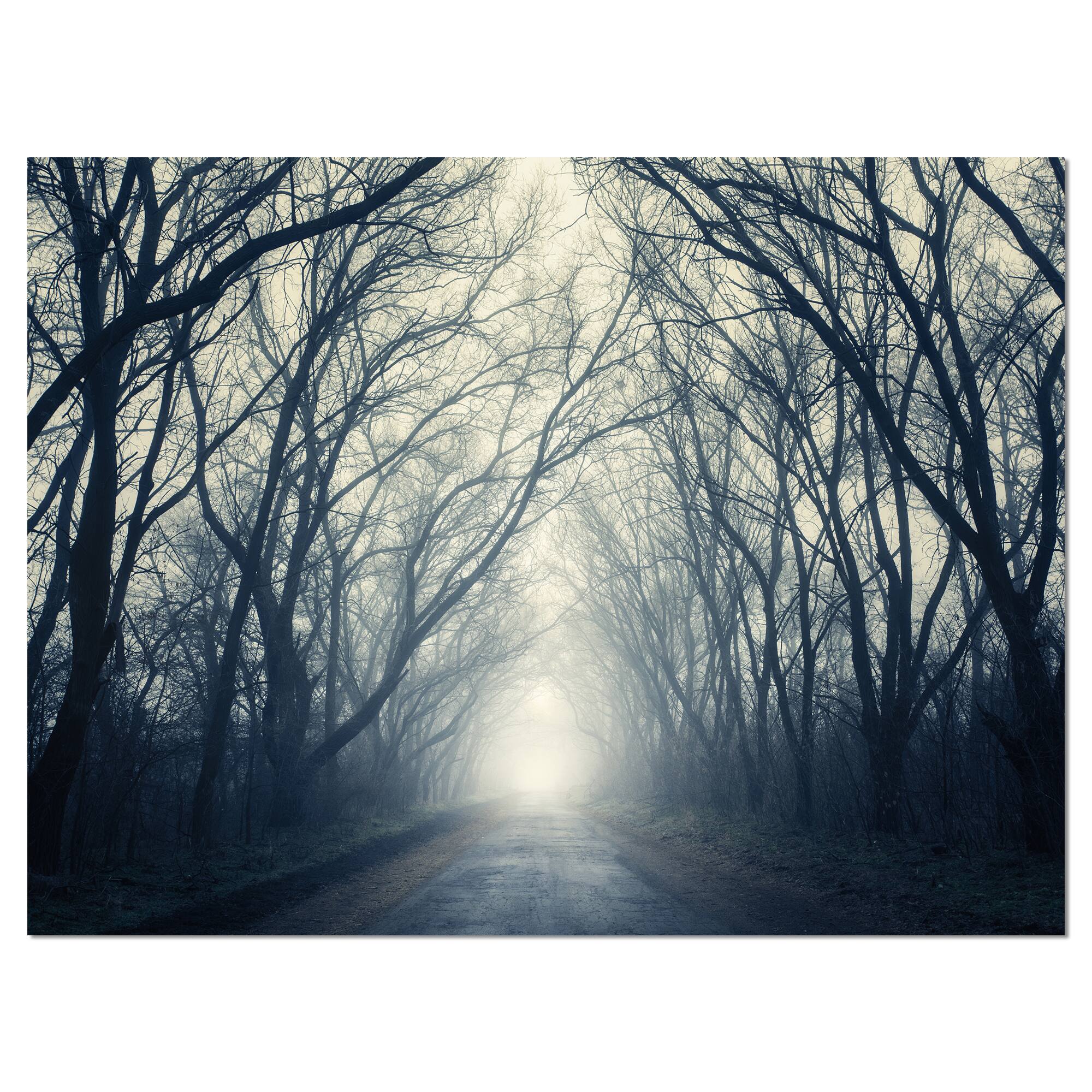 Designart - Dark Autumn Forest in Fog - Photography Canvas Art Print