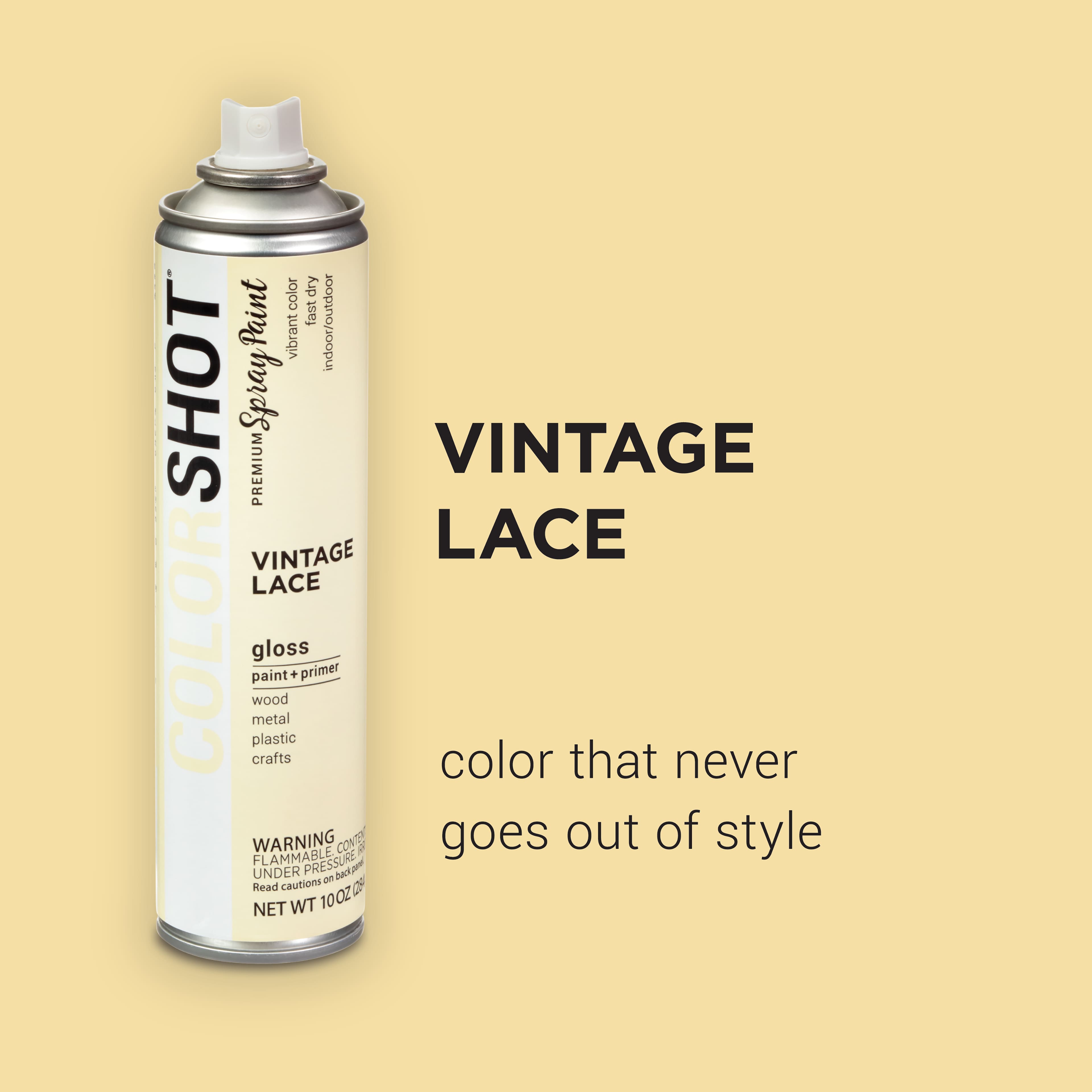 COLORSHOT® Premium Gloss Spray Paint