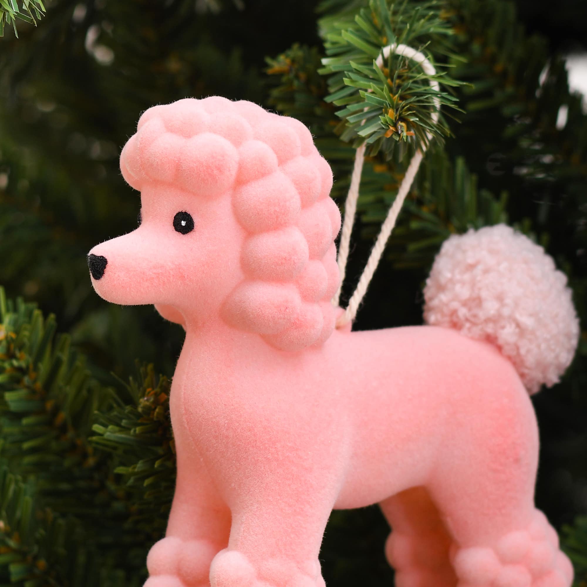 5.25&#x22; Flocked Poodle Plastic Ornament by Ashland&#xAE;