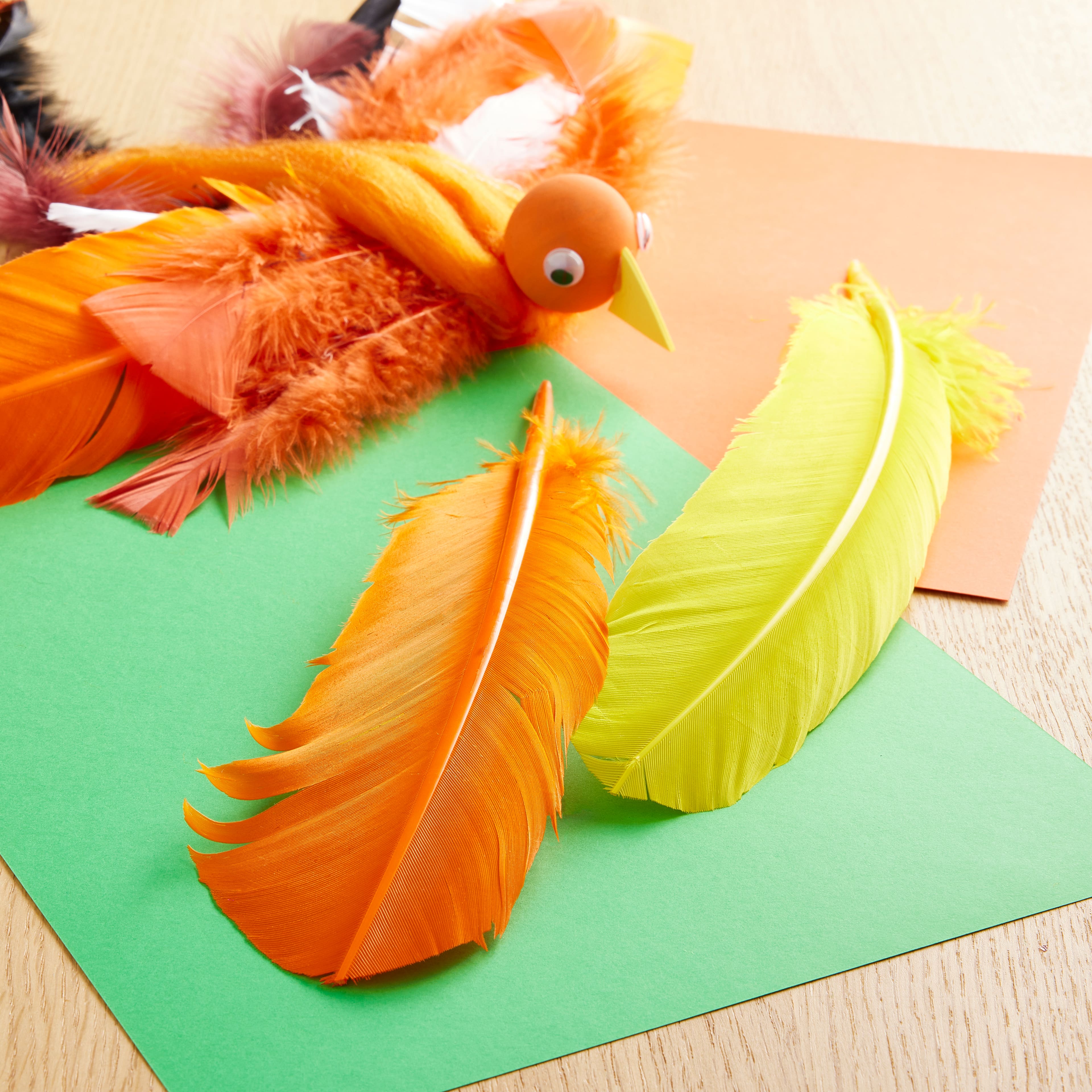 12 Packs: 20 ct. (240 total) Mixed Quill Feathers by Creatology&#x2122;