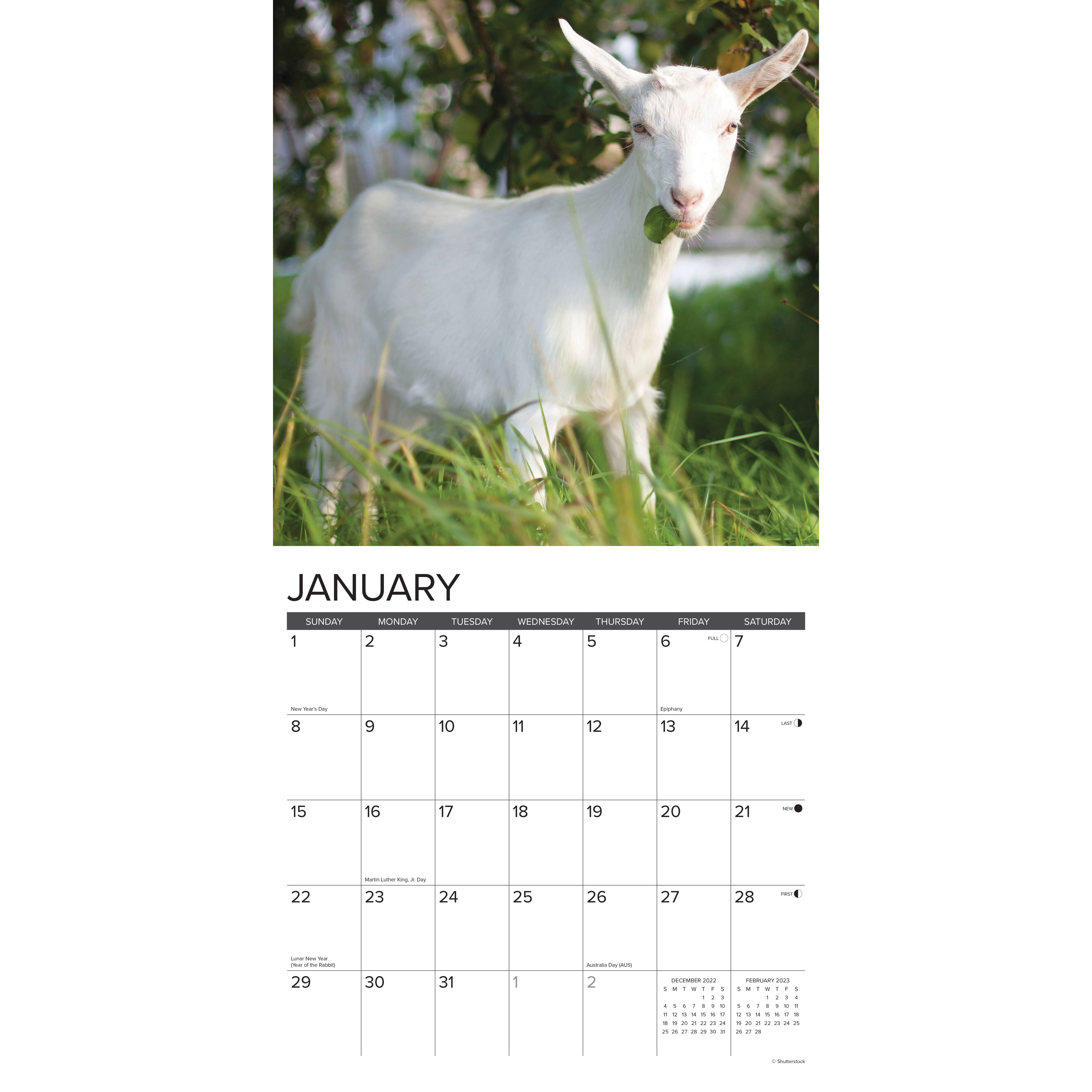 2023 Goats Wall Calendar Michaels