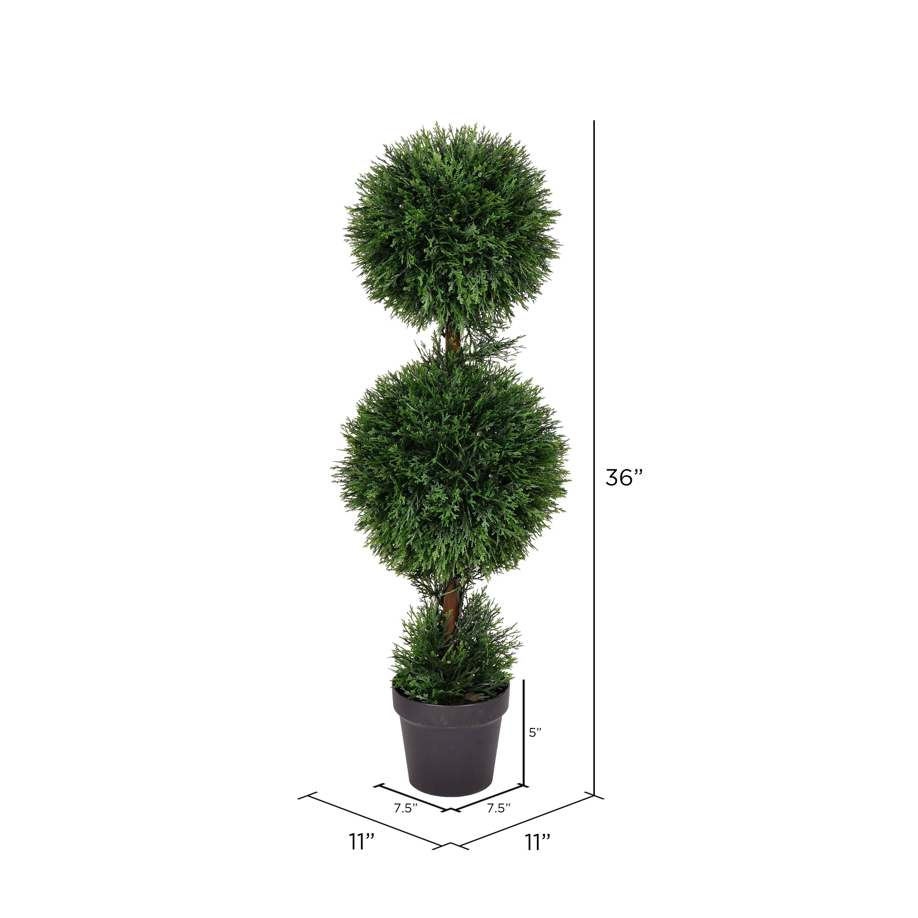 3ft. Potted Cedar Double Ball Topiary Tree