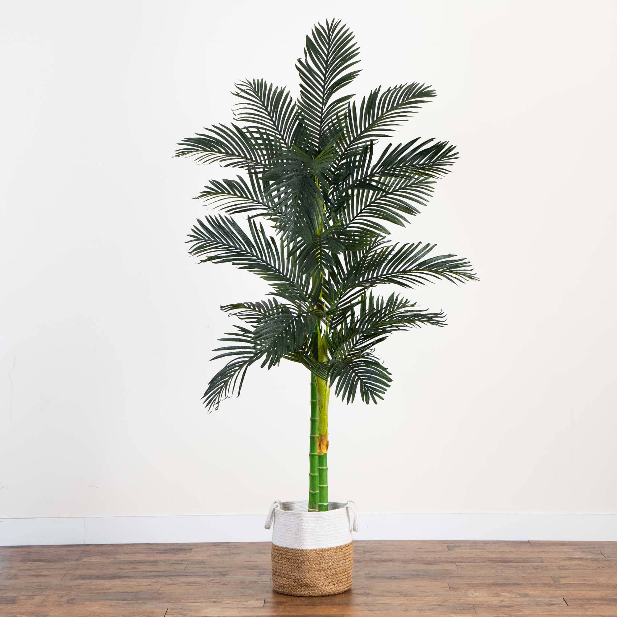 8ft. Golden Cane Palm Tree in Handmade Natural Cotton Planter