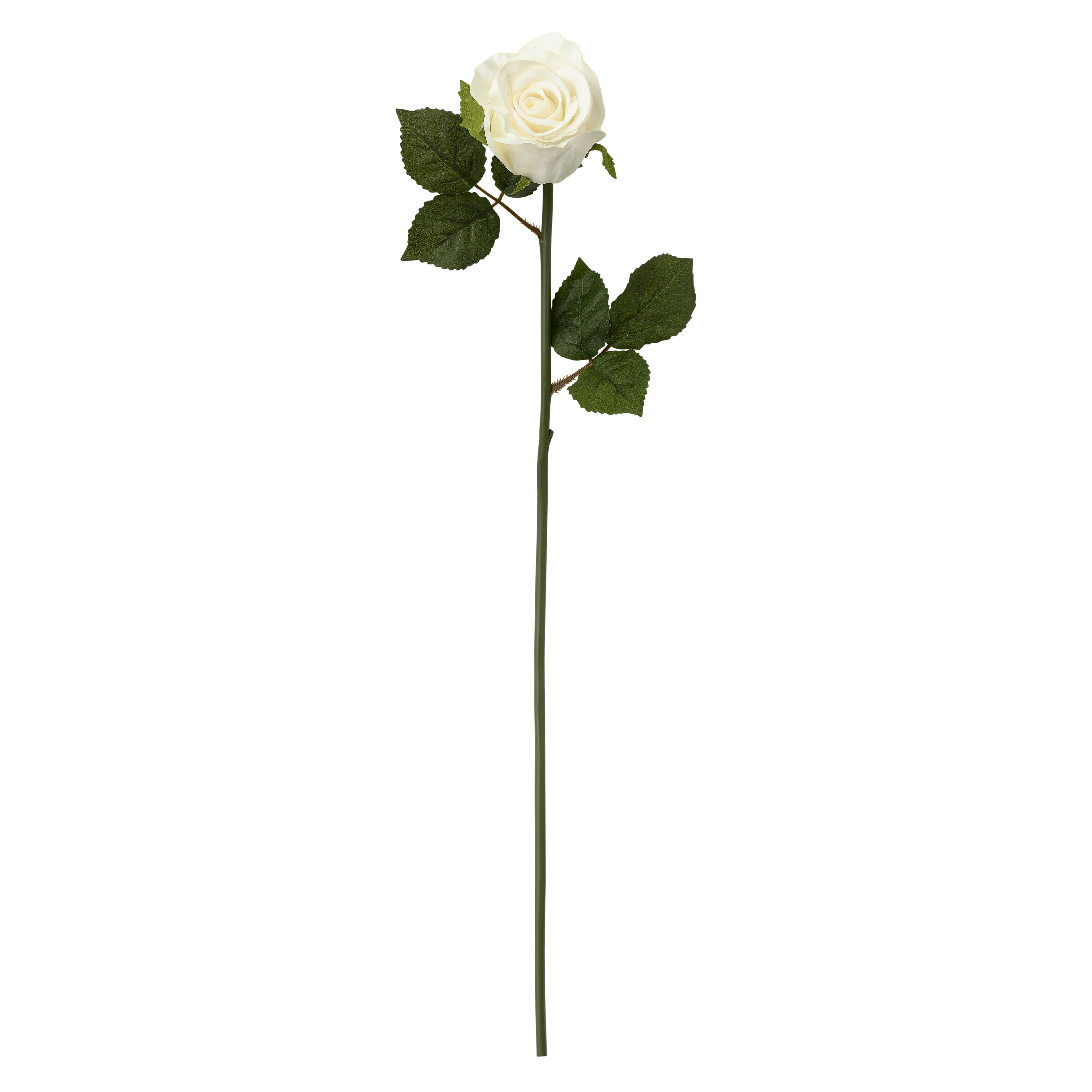 12 Pack: White Faux Rose by Ashland&#xAE;