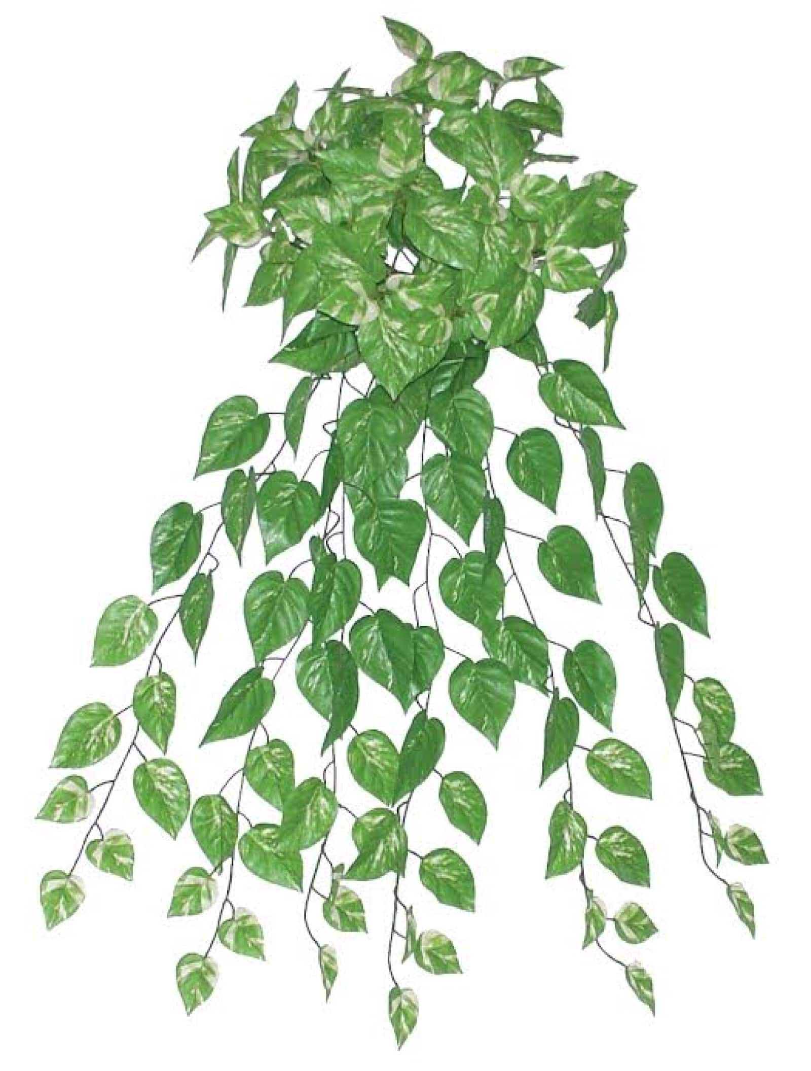 35" Green Artificial Spring Pothos Plant Bush