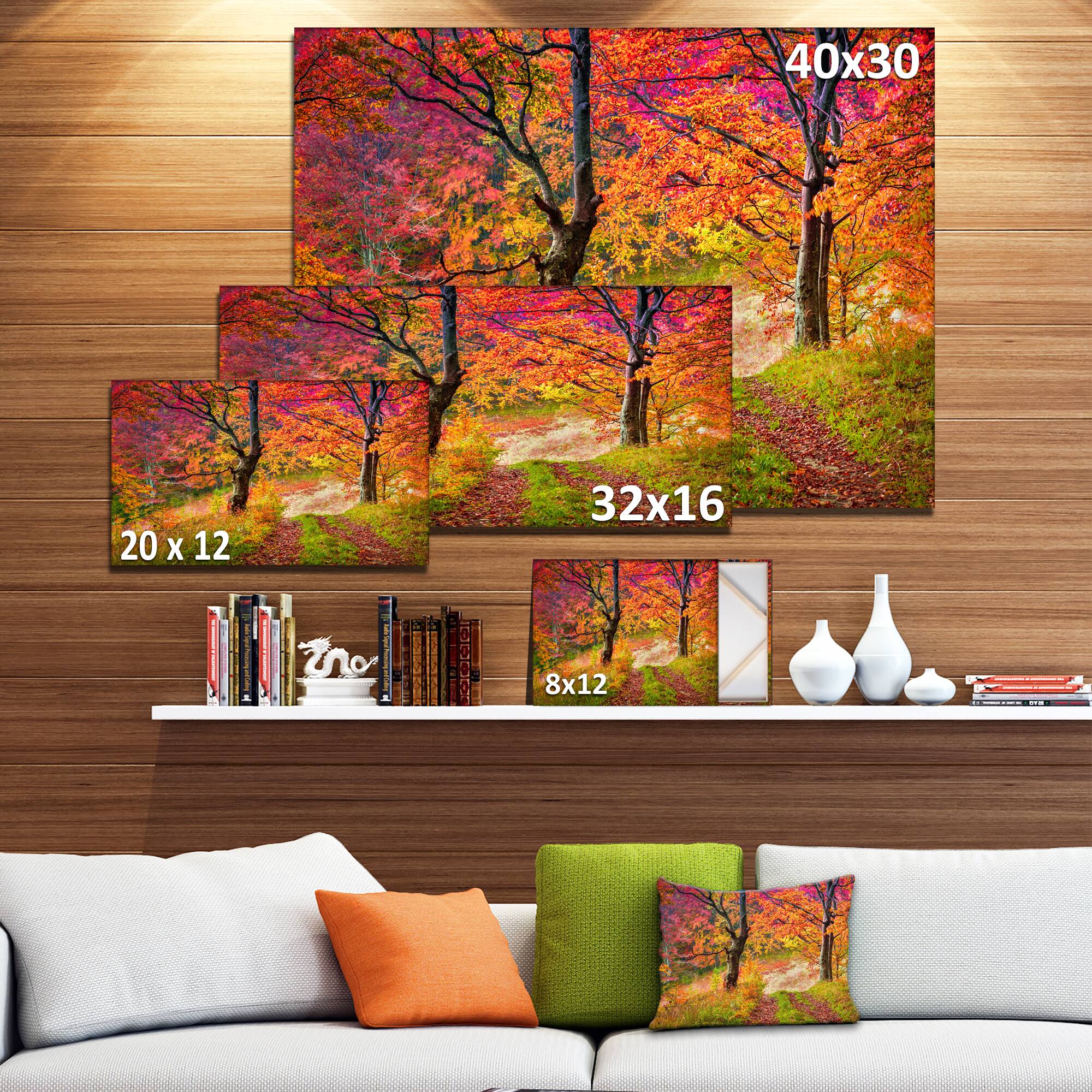 Designart - Bright Colorful Fall Trees in Forest - Large Landscape Canvas Art Print
