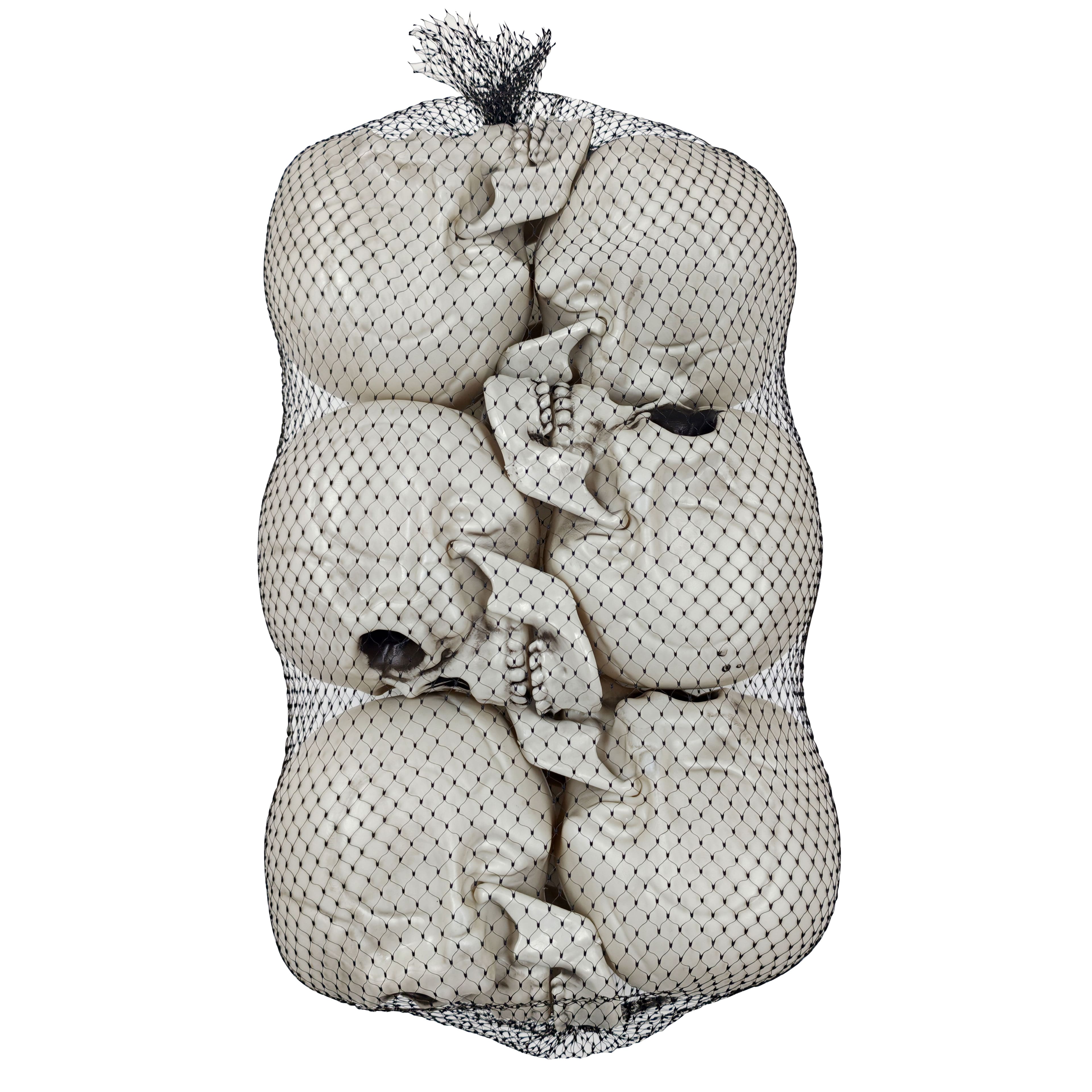 4&#x22; Skulls, 6ct. by Ashland&#xAE;