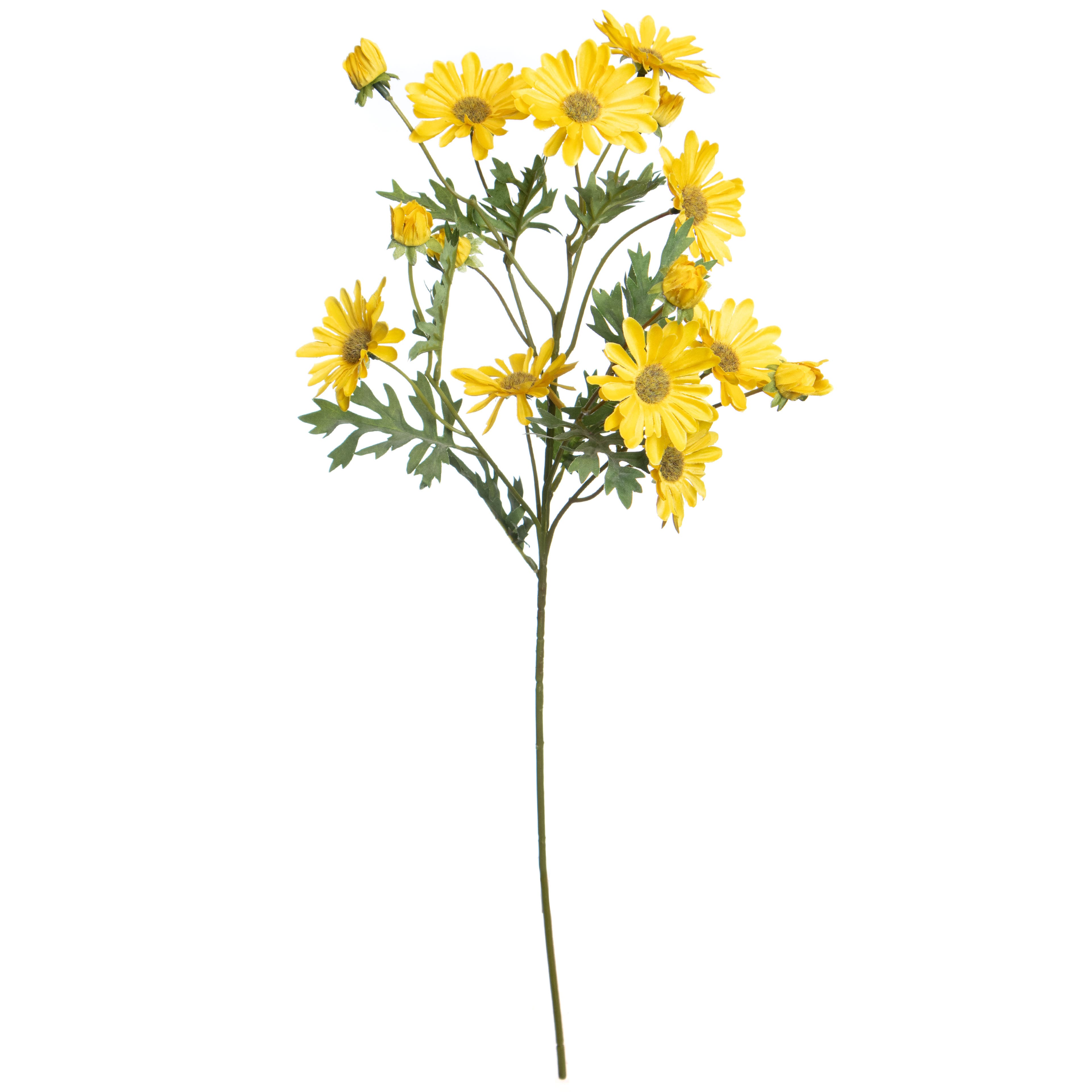 Tige de marguerites sauvages jaunes de 61&#xA0;cm d&#x2019;Ashland