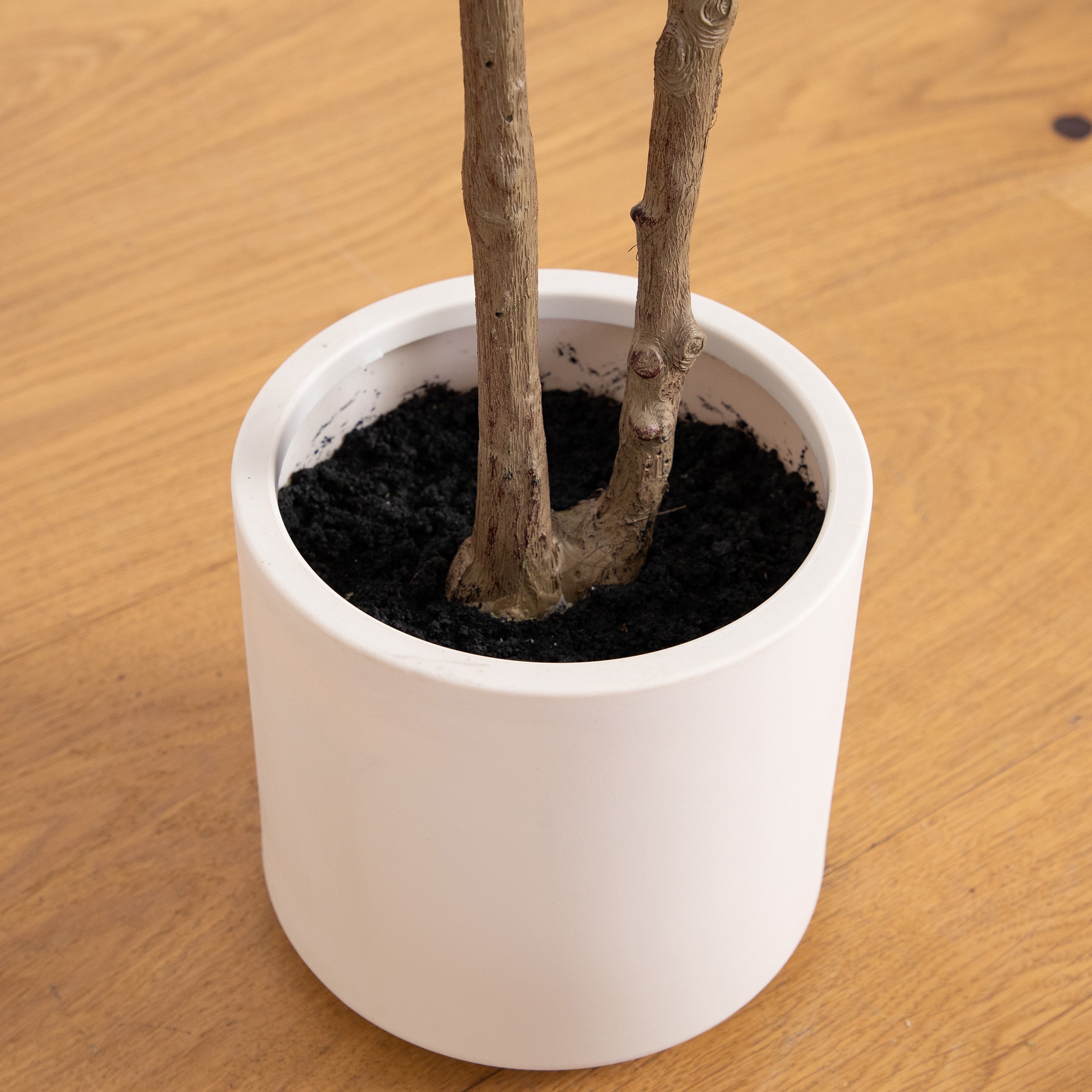 5ft. Artificial Minimalist Olive Tree in White Decorative Planter