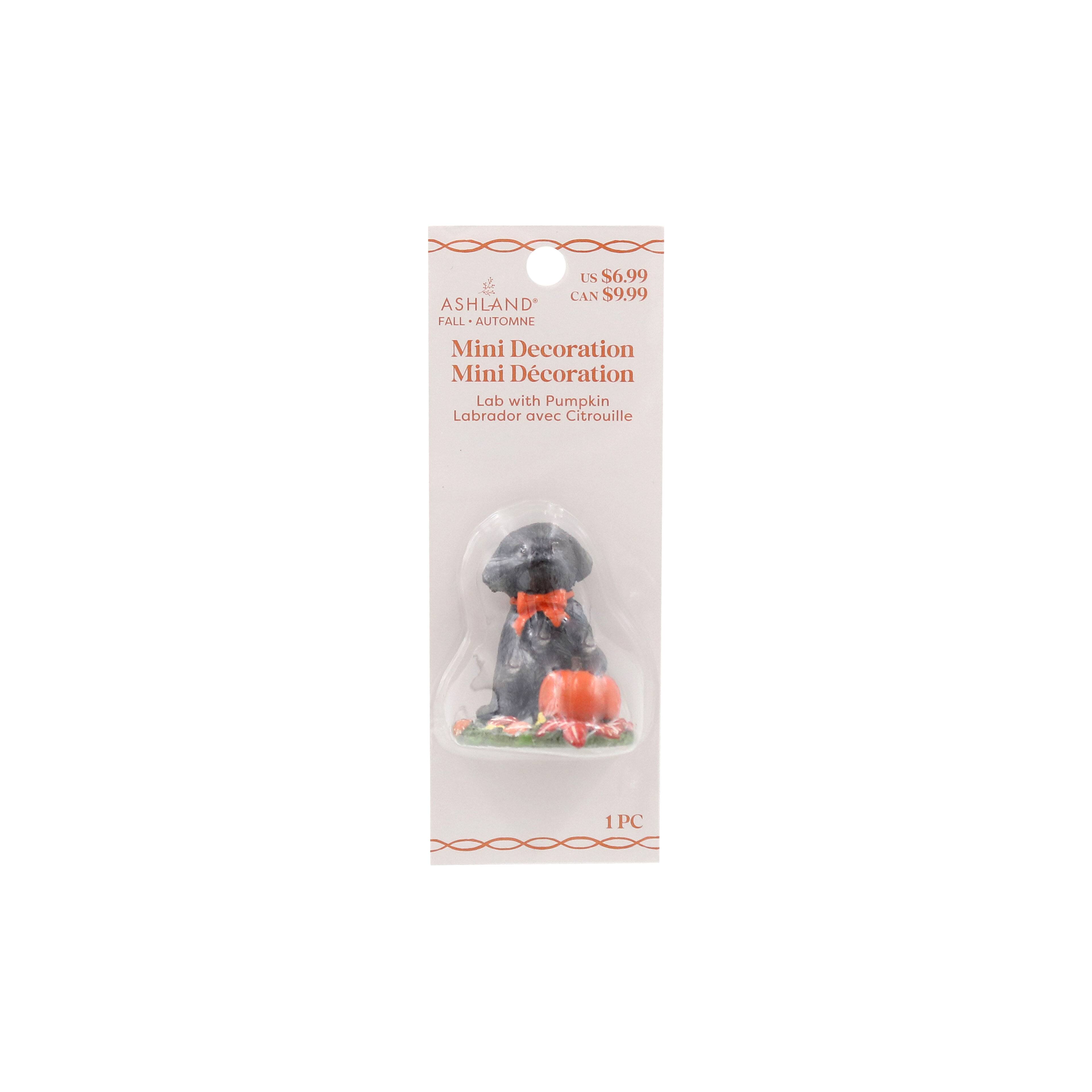 Mini Lab with Pumpkin by Ashland&#xAE;