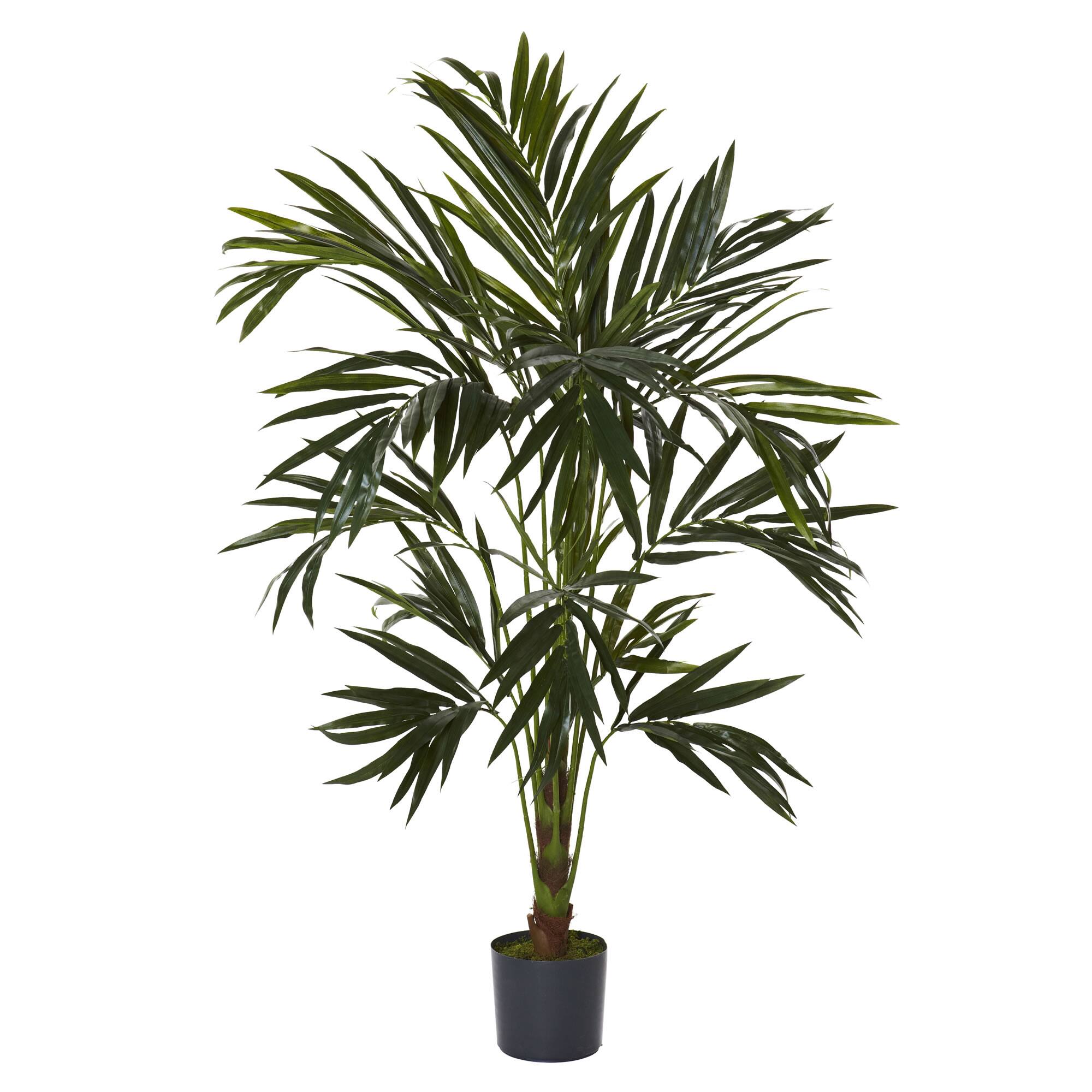 6ft. Potted Kentia Palm Silk Tree Michaels