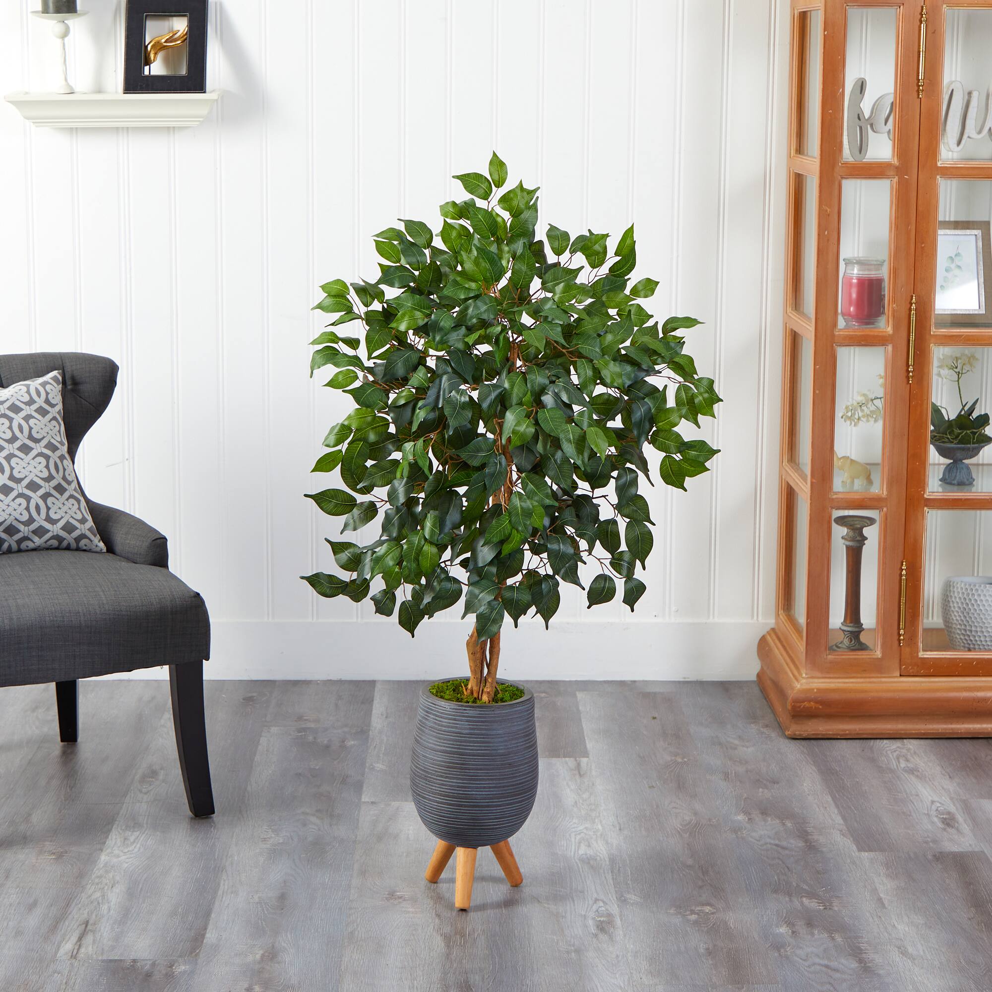 4ft. Ficus Tree in Gray Planter with Stand