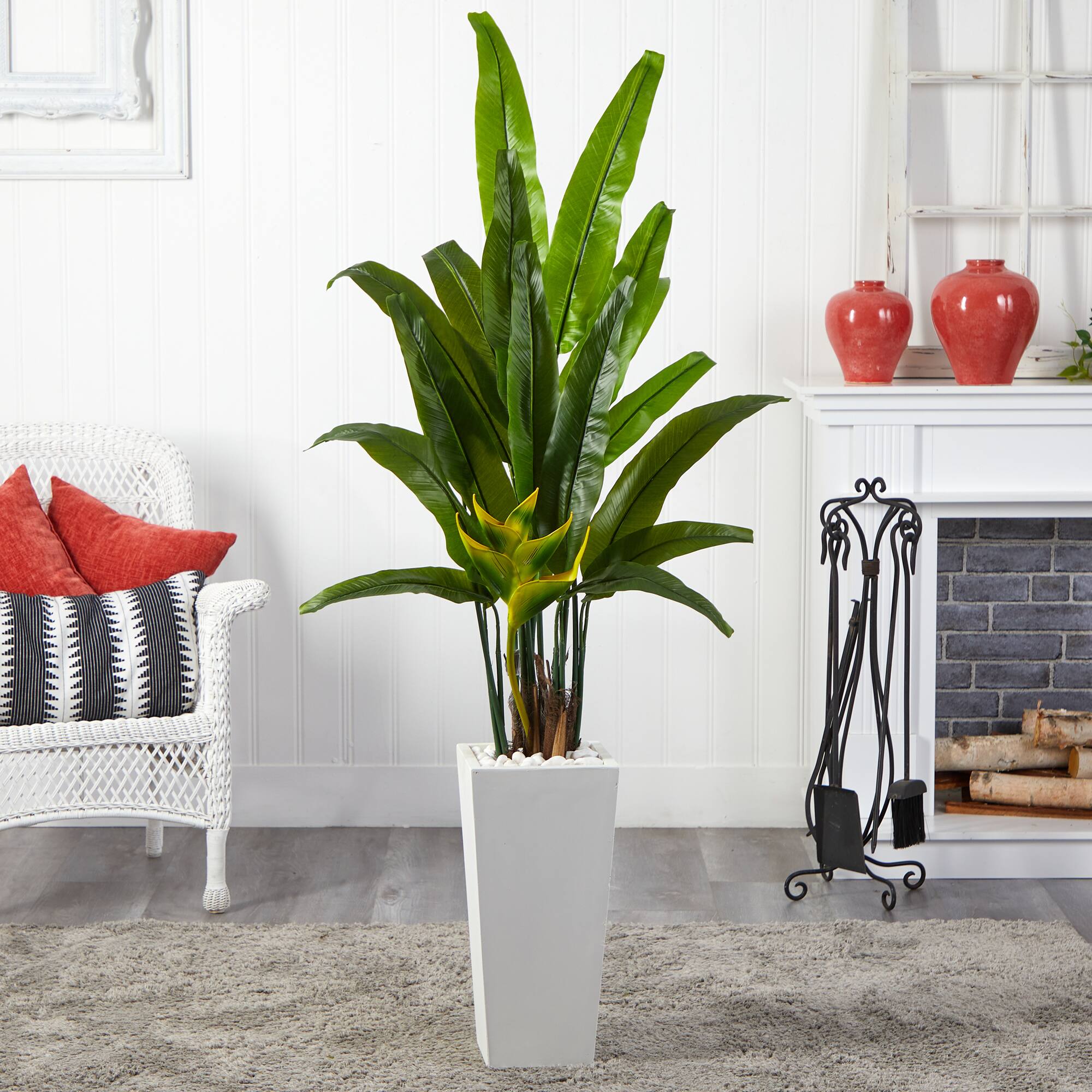 6ft. Potted Travelers Palm Tree in Decorative Planter