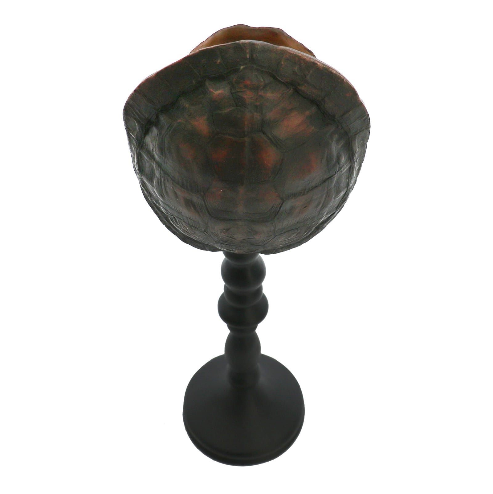 Turtle Shell Tabletop Accent by Ashland