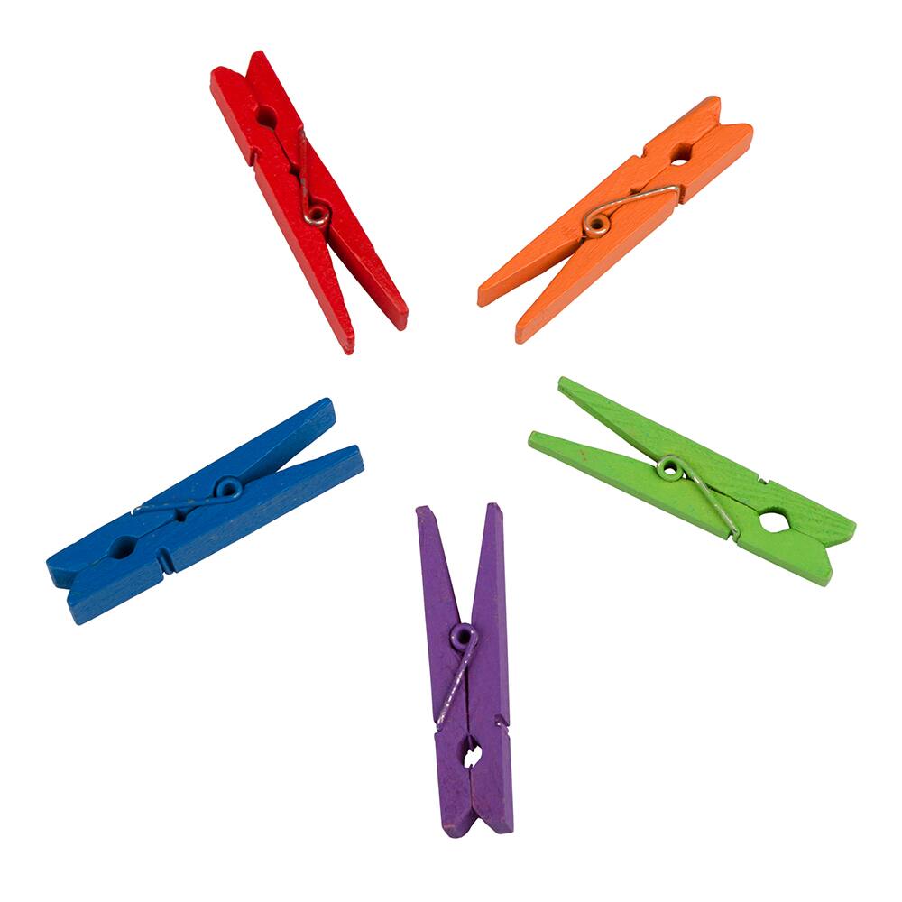 JAM Paper 2&#x22; Assorted Color Wood Clip Clothespins, 20ct.
