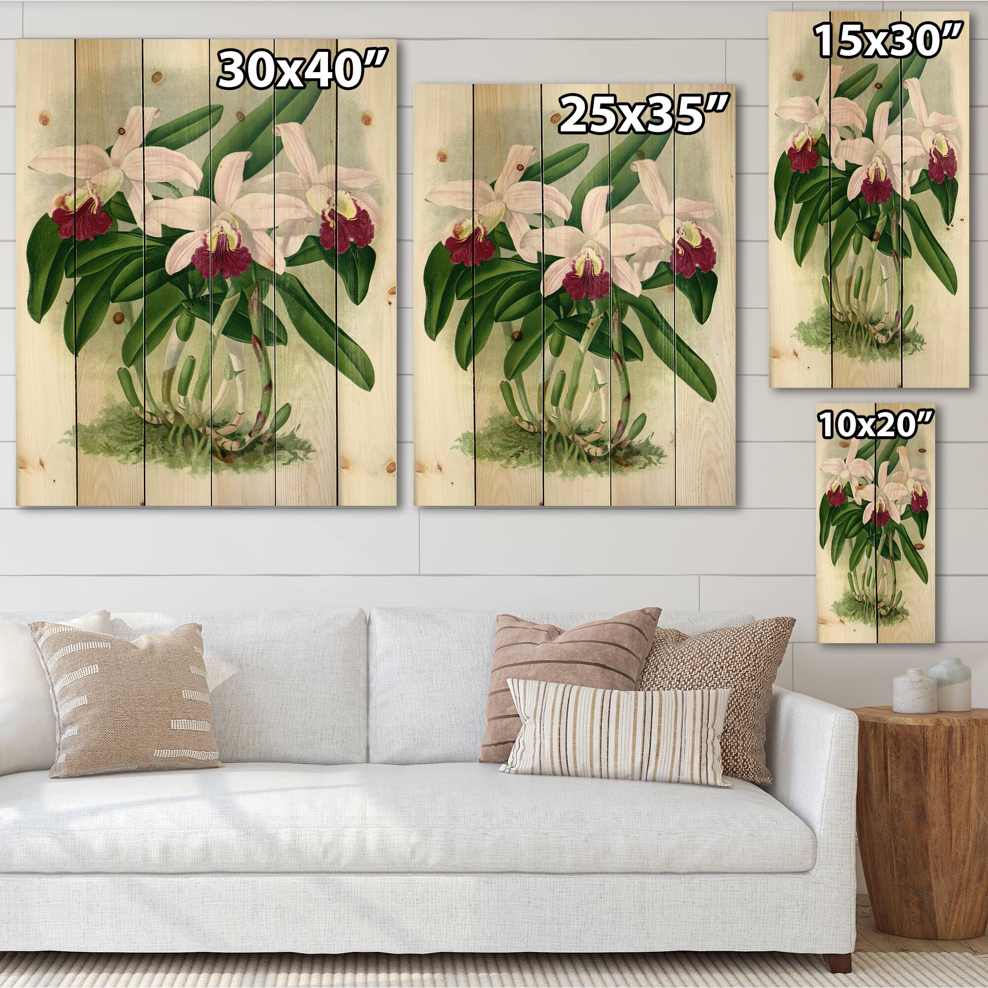 Designart - Vintage White Orchid Flower I - Traditional Print on Natural Pine Wood