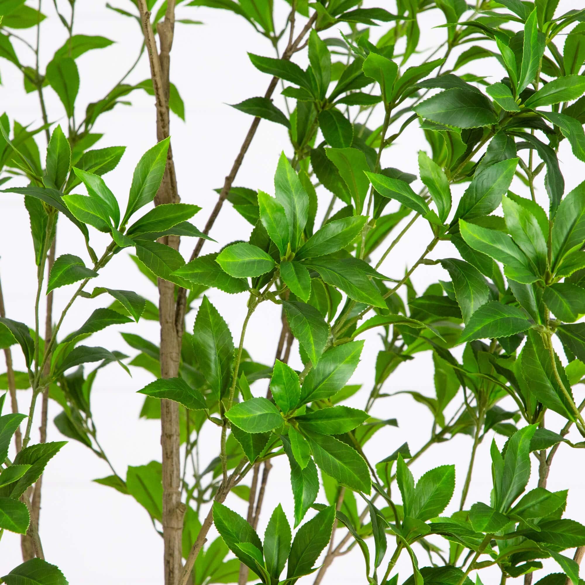 8ft. Artificial Minimalist Japanese Pieris Tree