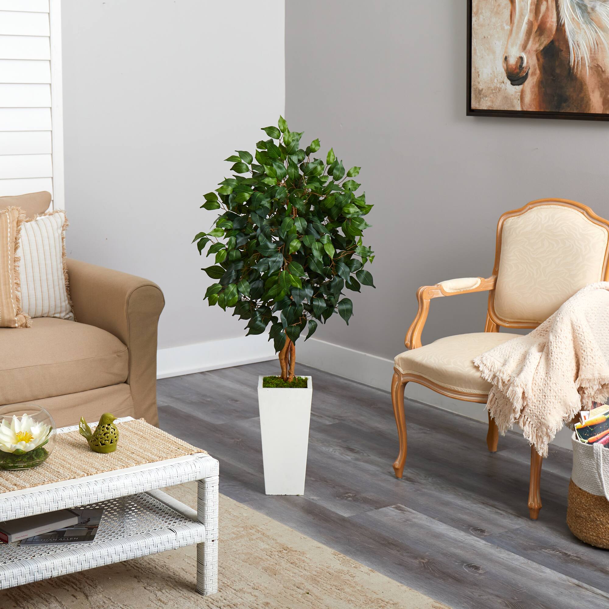 4ft. Ficus Tree in White Tower Planter