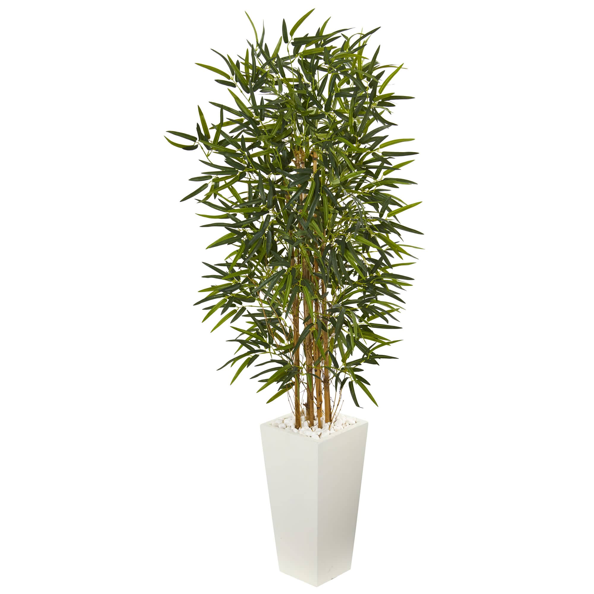 5.5ft. Bamboo Tree in White Tower Planter