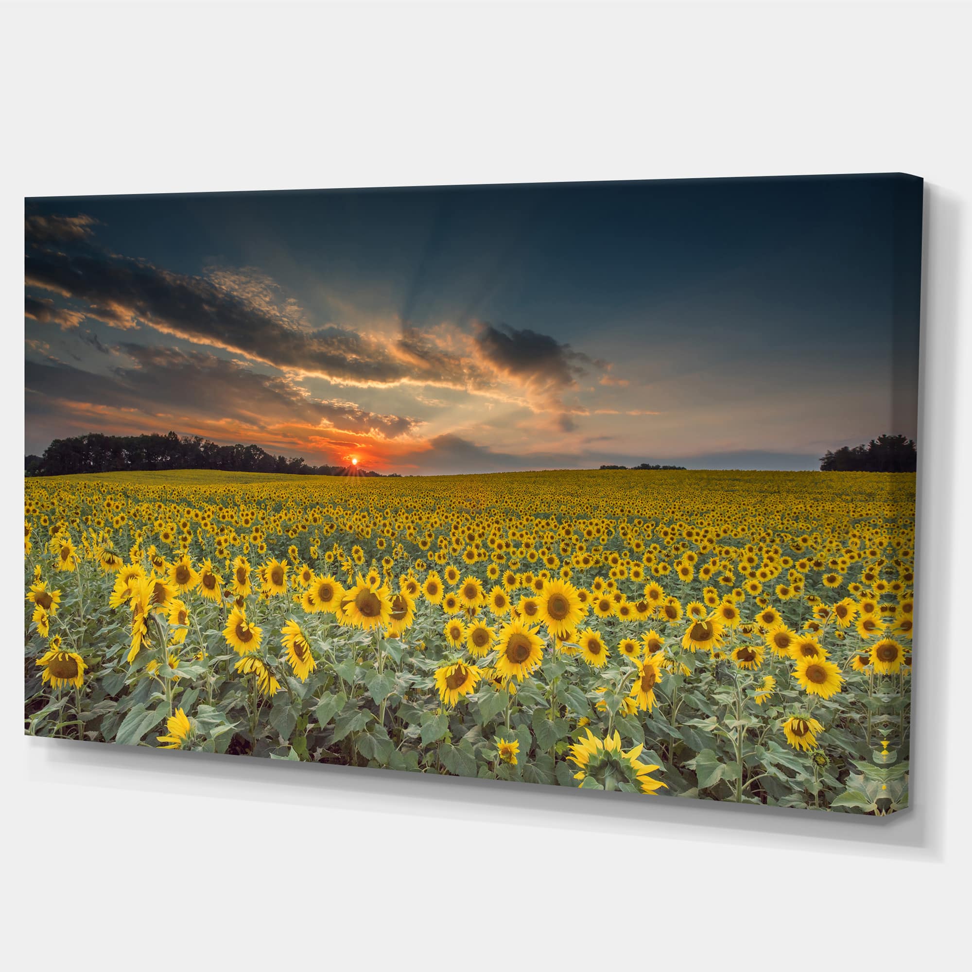 Designart - Sunflower Sunset with Cloudy Sky - Large Landscape Canvas Art