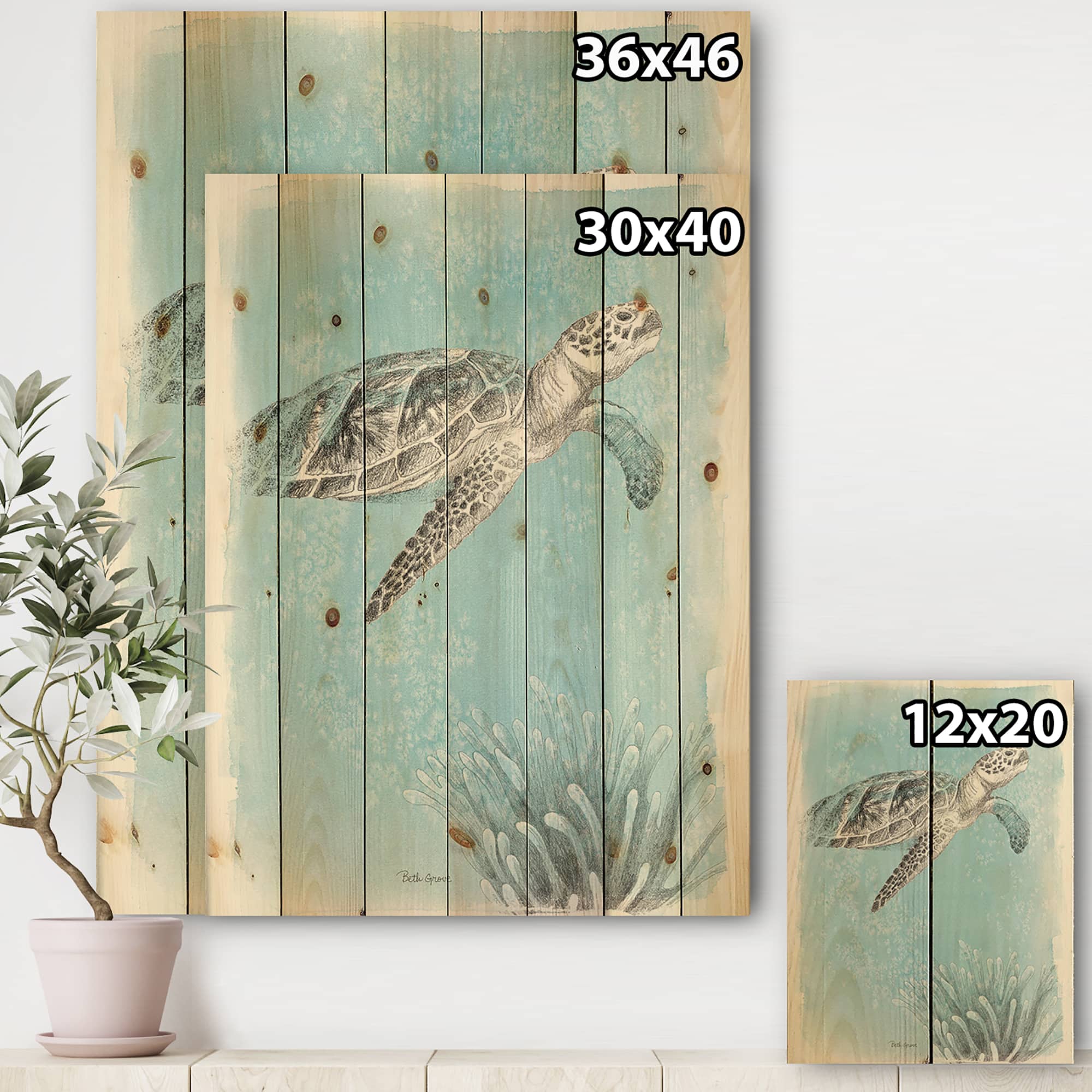 Designart - Coastal Sea Life I Turtle sketches - Nautical &#x26; Coastal Print on Natural Pine Wood