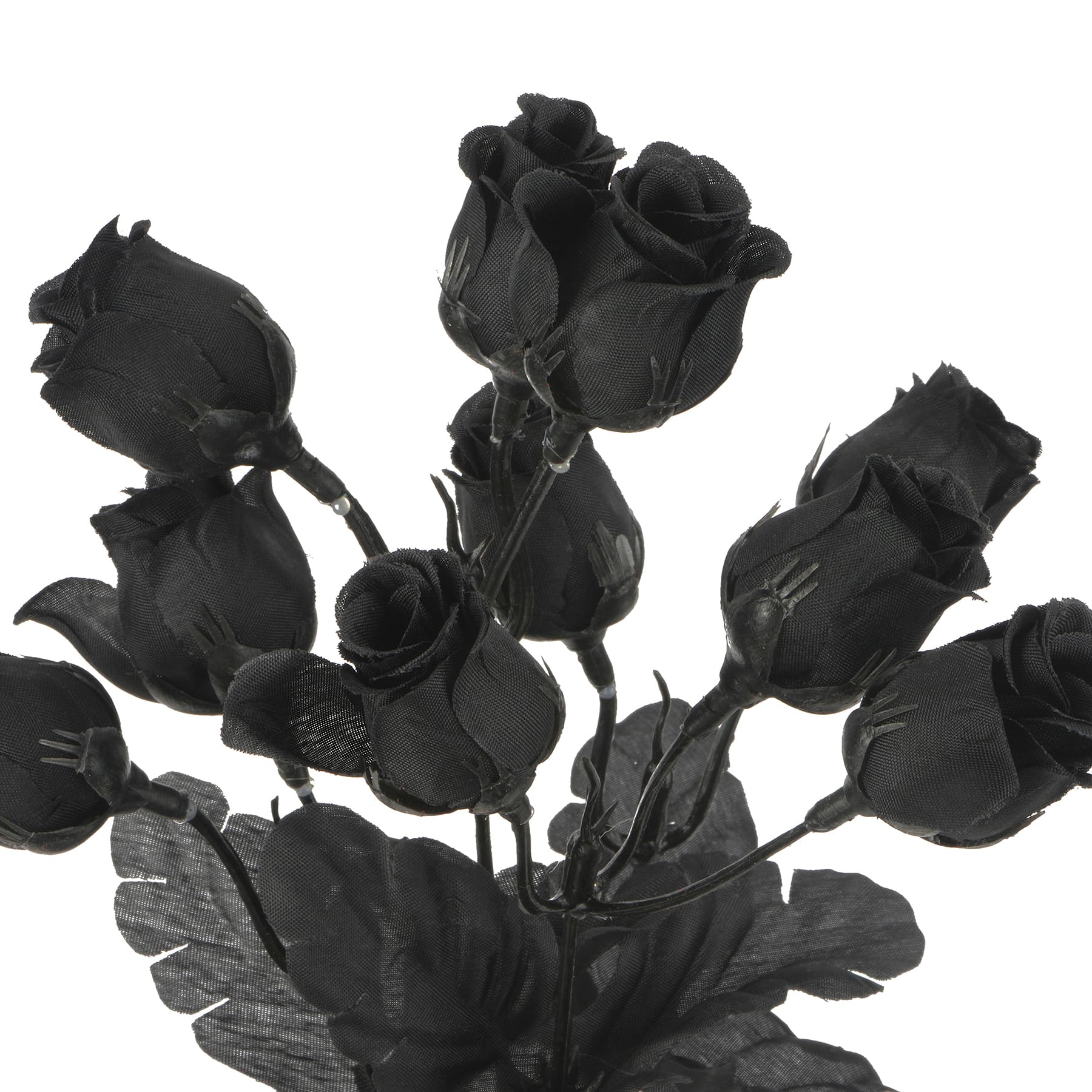12" Black Rose Bush by Ashland®