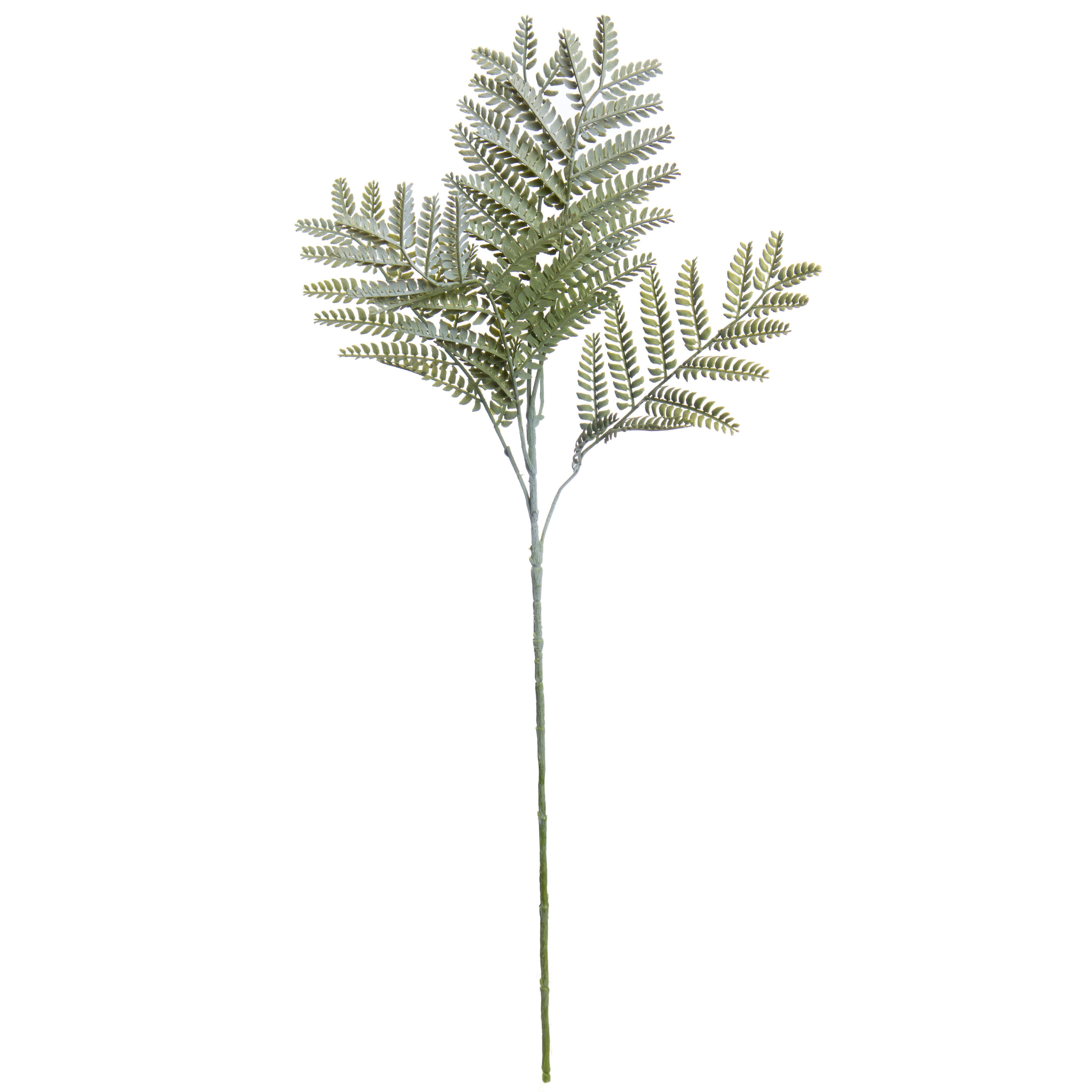 28&#x22; Green Jacaranda Leaves Stem by Ashland&#xAE;