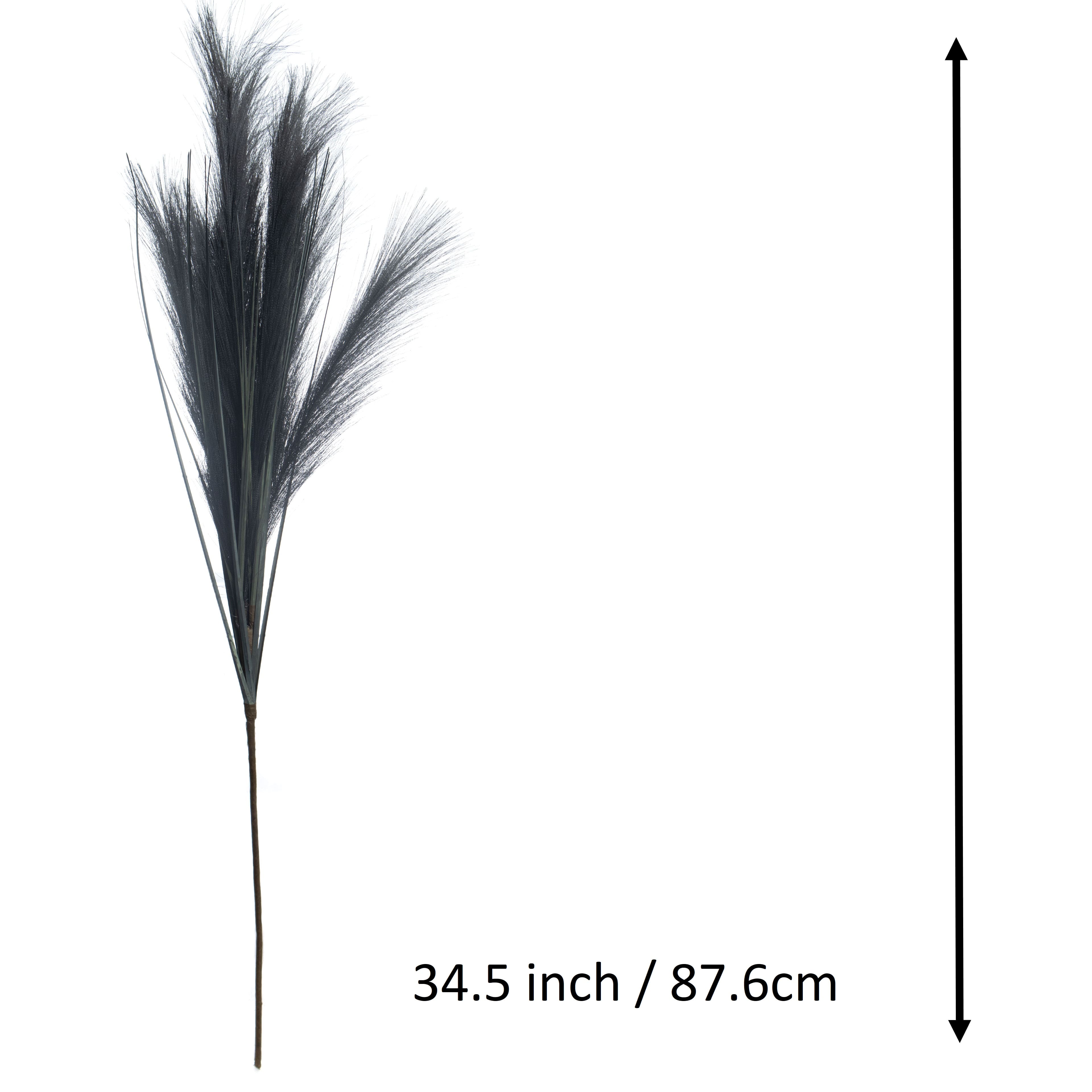 Black Ombre Pampas Stem by Ashland&#xAE;