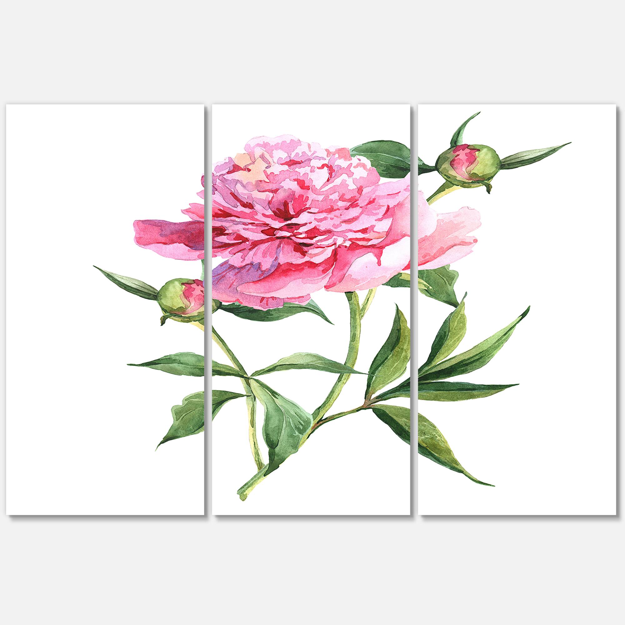 Designart - Vintage Pink Peonies - Traditional Canvas Wall Art Print