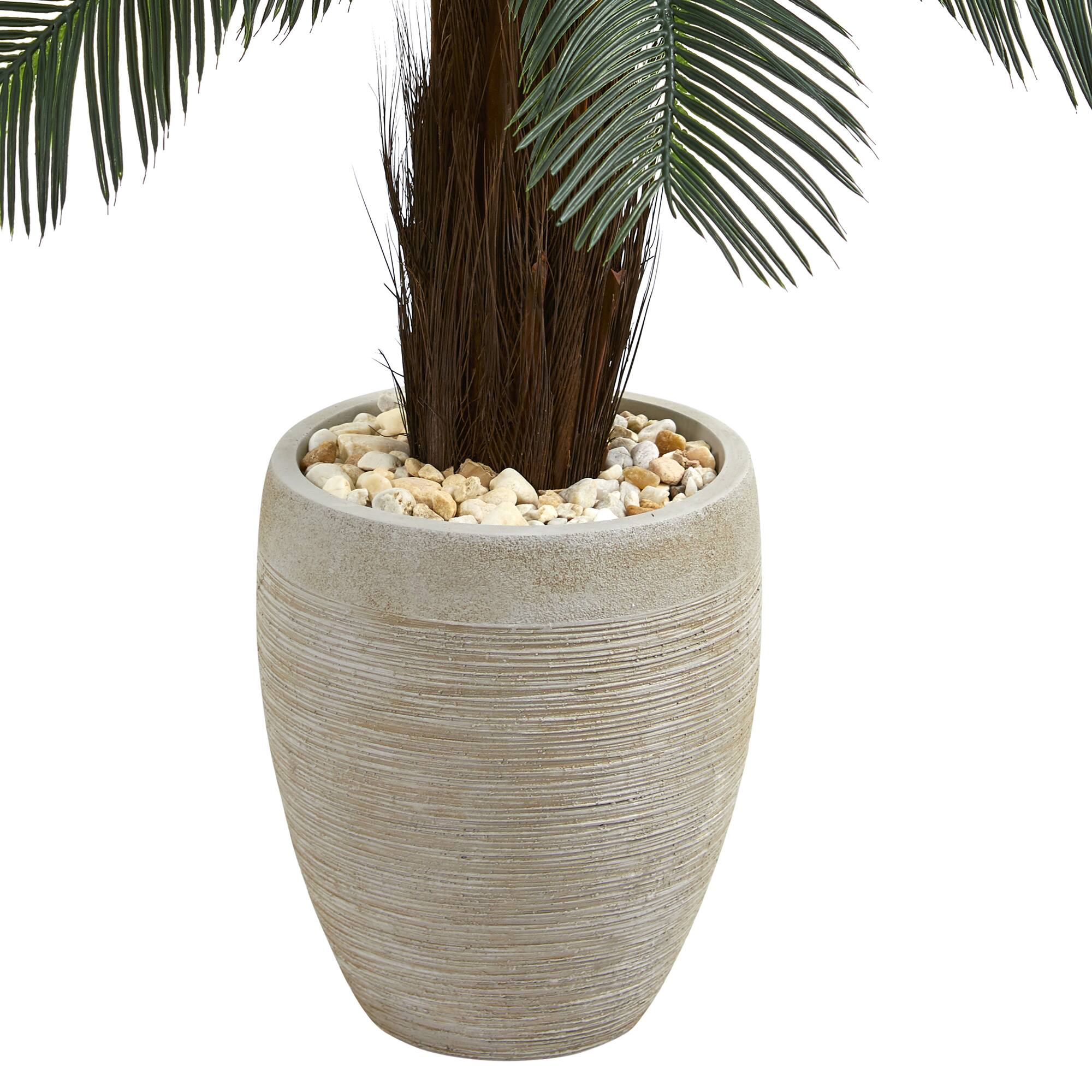 4.5ft. Cycas Tree in Oval Planter