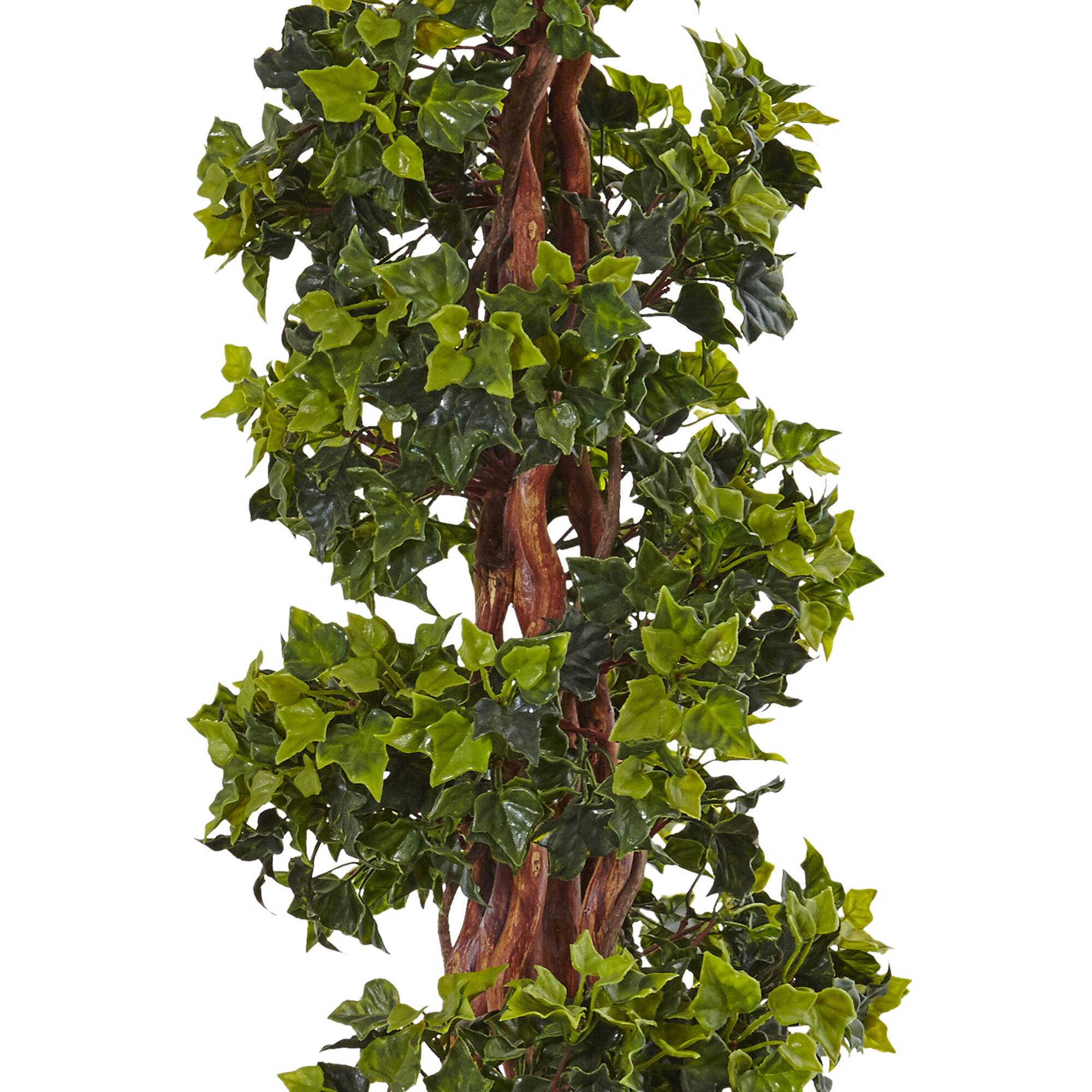 5ft. English Ivy Spiral Topiary Tree in Gray Planter