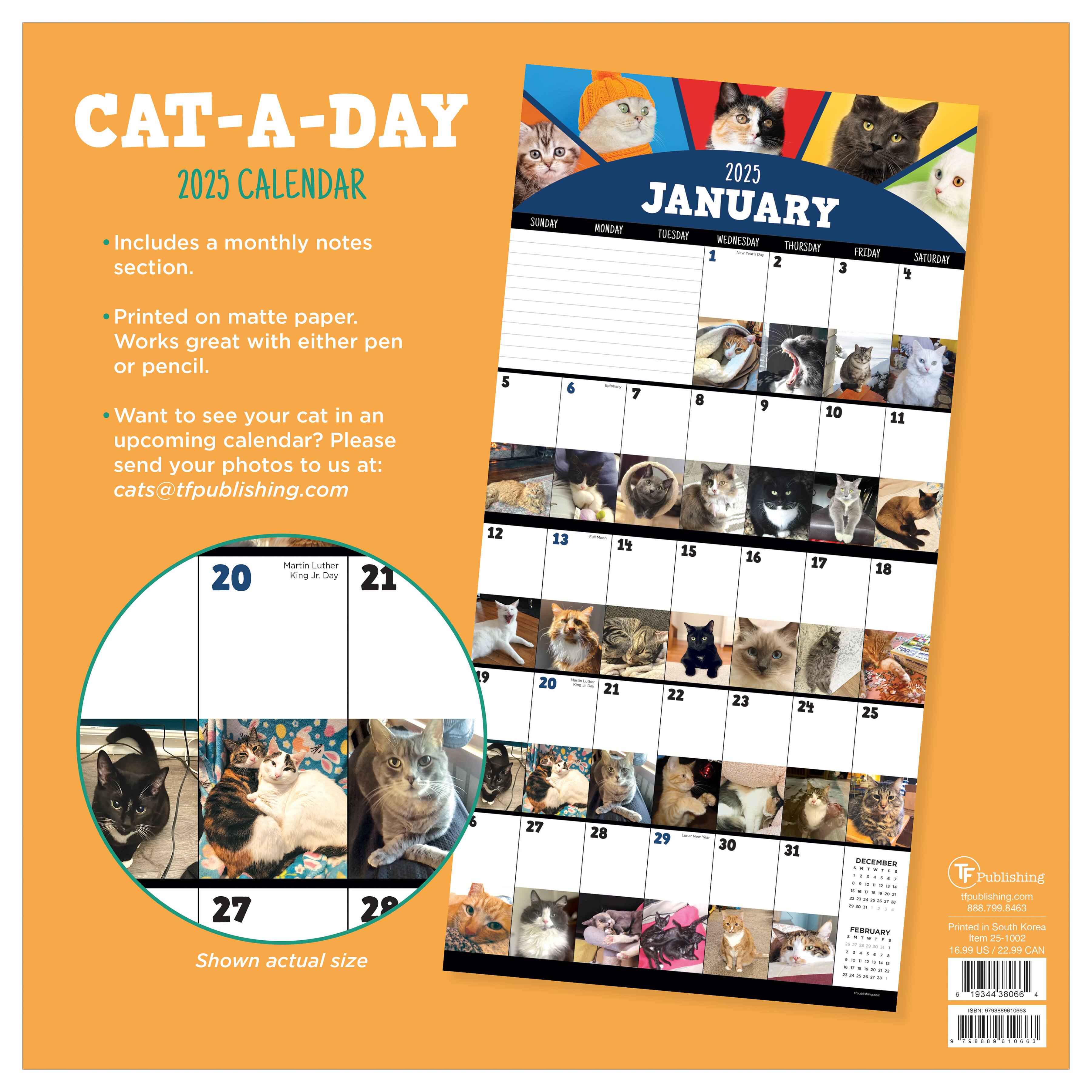 TF Publishing 2025 Cat-a-Day Wall Calendar