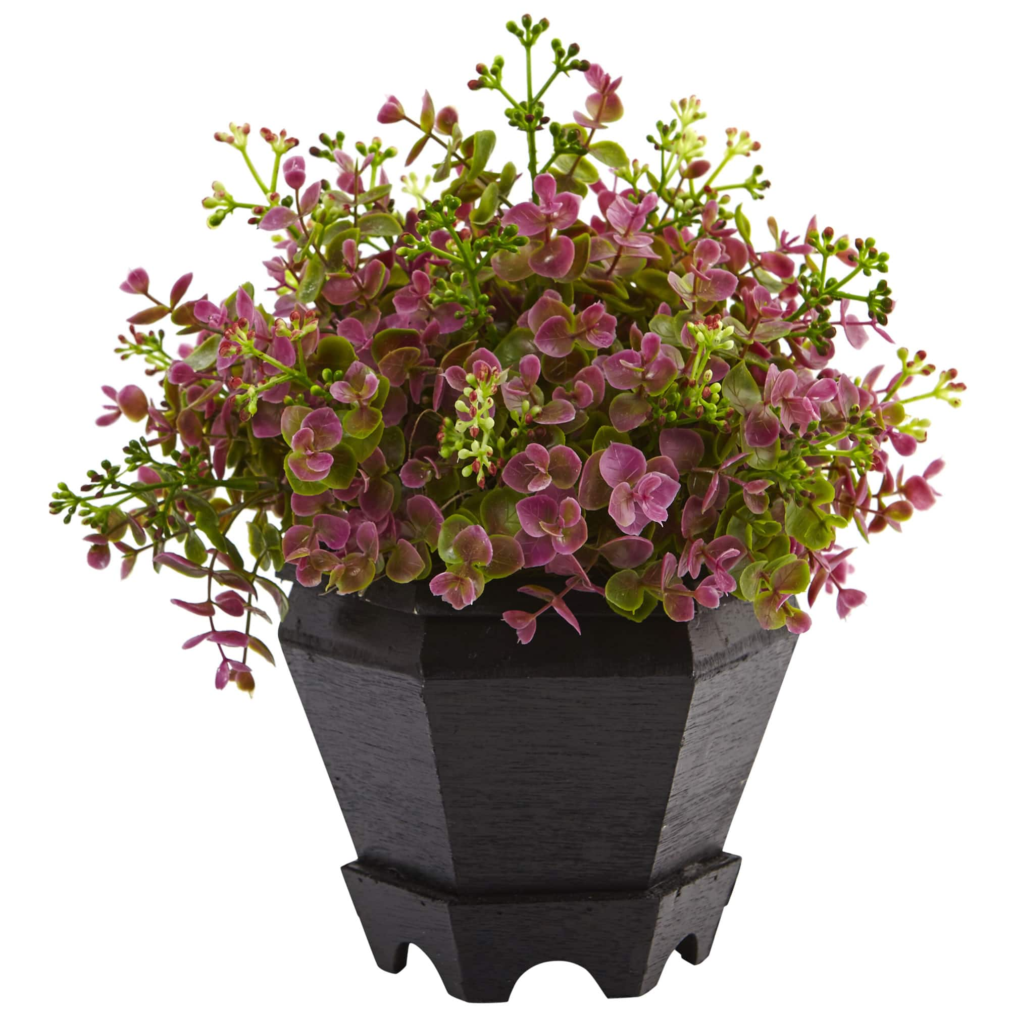 13in. Sedum &#x26; Eucalyptus Plant in Black Hexagon Planter