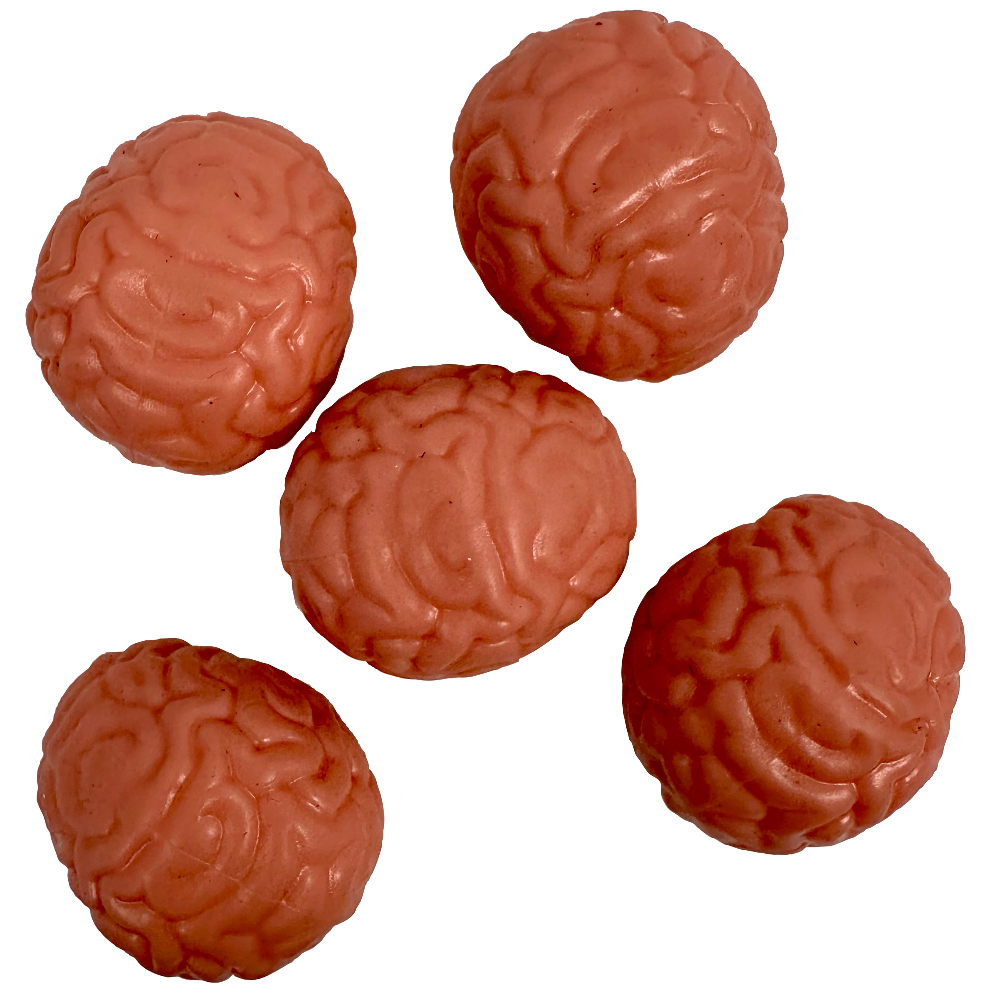 1.5&#x22; Brains, 5ct. by Ashland&#xAE;