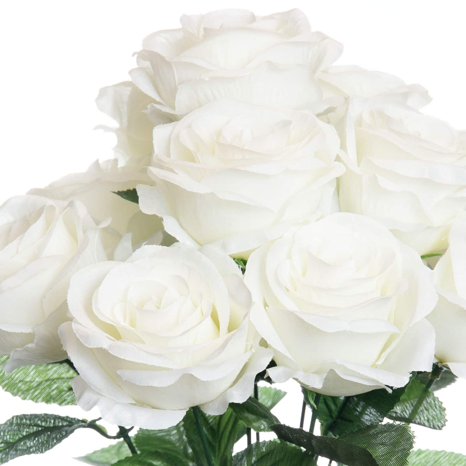 Cream Rose Bush by Ashland&#xAE;