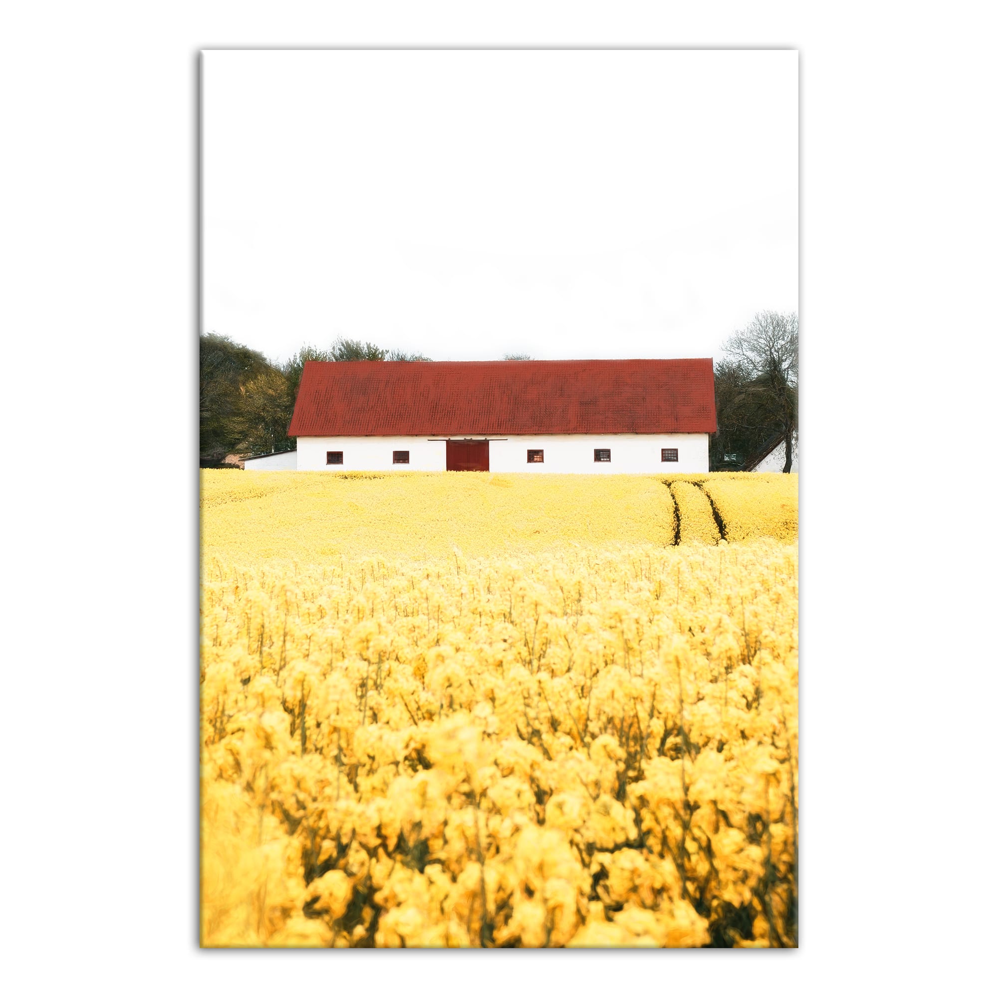 Painted Country Cottage 12" x 18" Canvas Wall Art