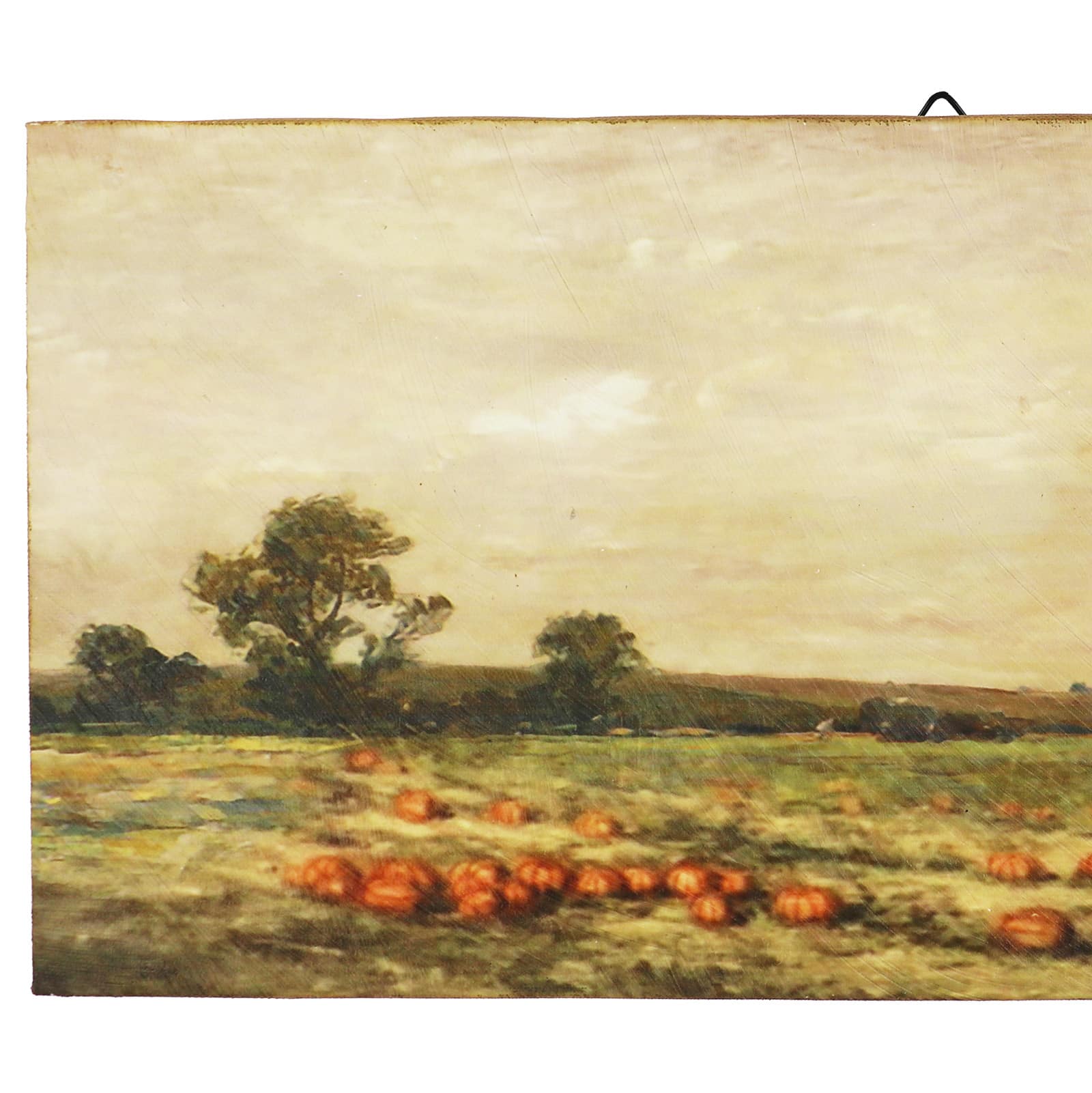 Pumpkin Field Wall D&#xE9;cor by Ashland&#xAE;