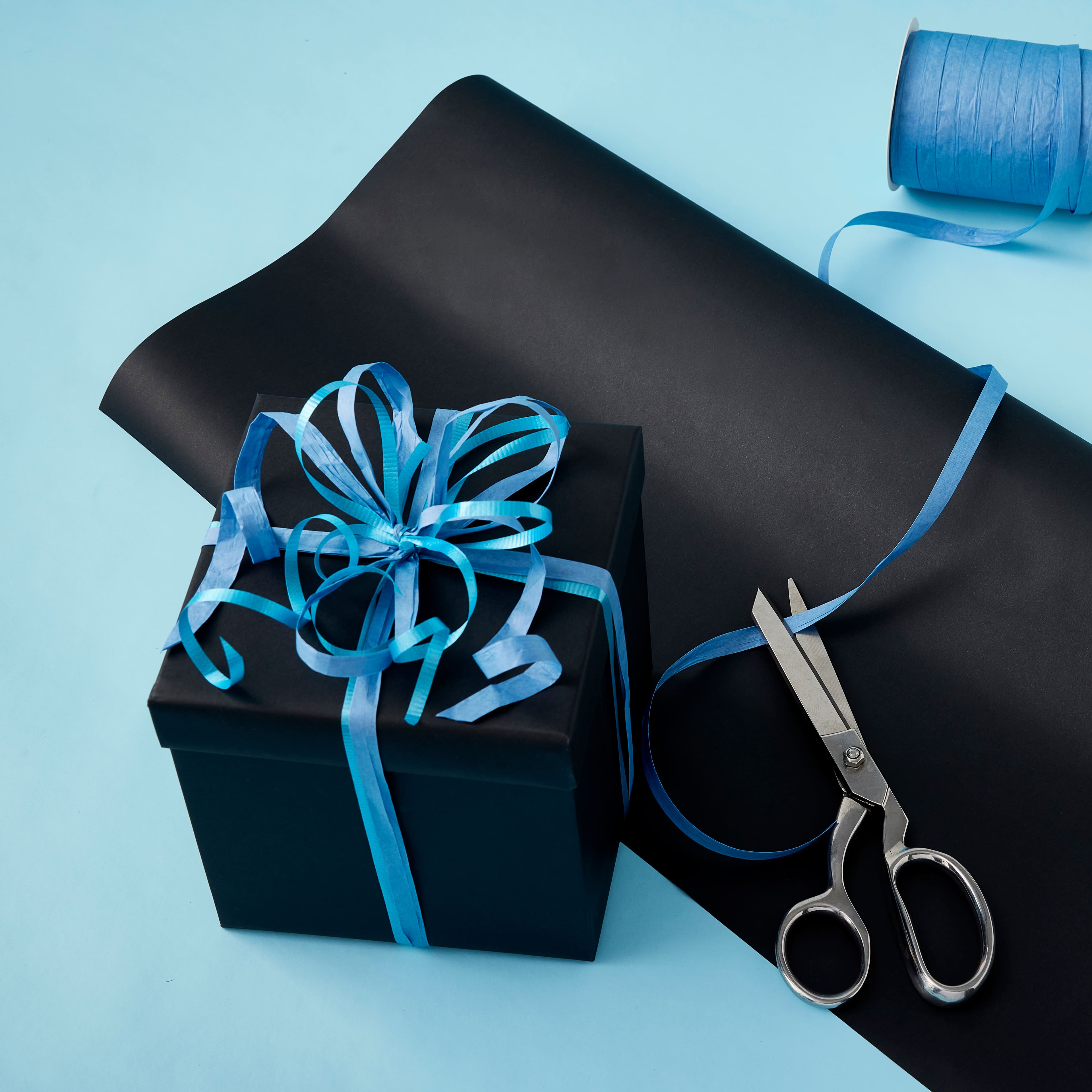 12 Pack: Black Gift Wrap by Celebrate It™