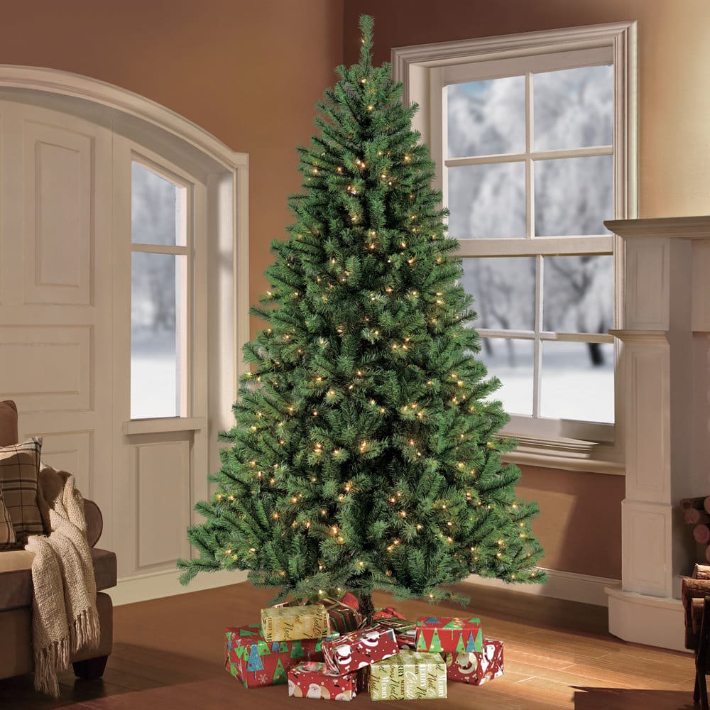 6.5ft. Pre-Lit Northern Fir Artificial Christmas Tree, Clear Lights