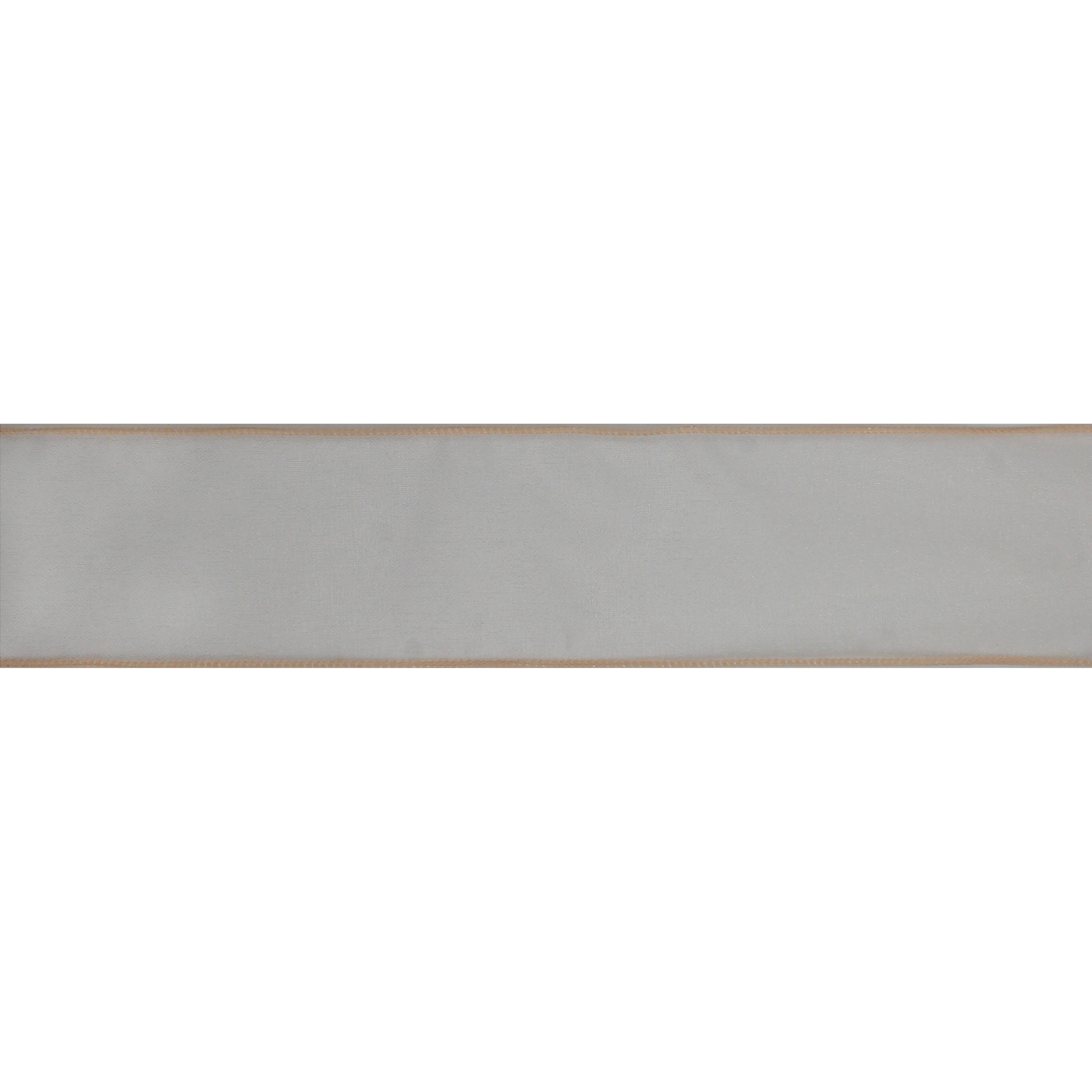 2.5&#x22; x 3yd. Sheer Wired Ribbon by Celebrate It&#xAE; Hot Buy!