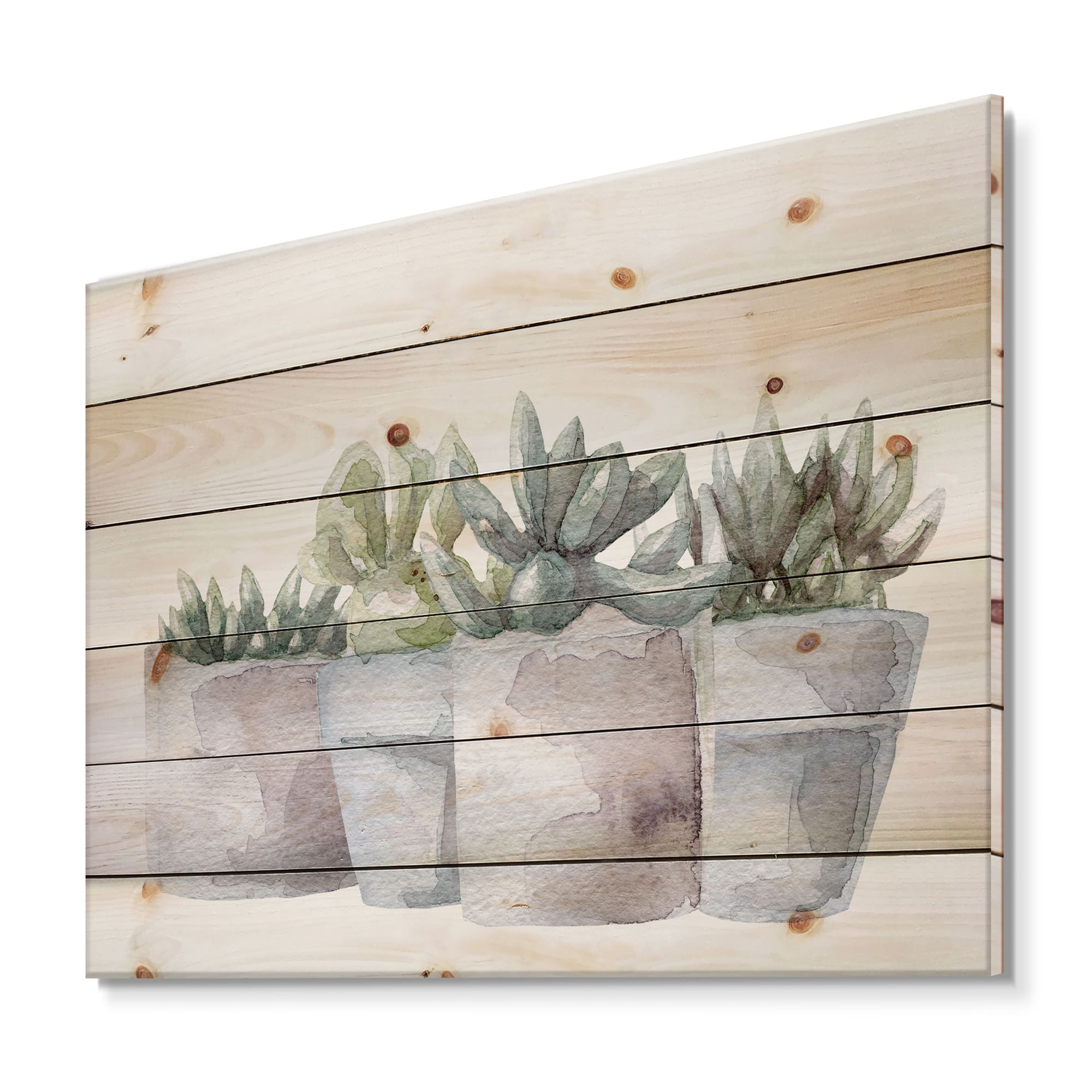 Designart - Cactus and Succulent House Plants III - Botanical Print on Natural Pine Wood