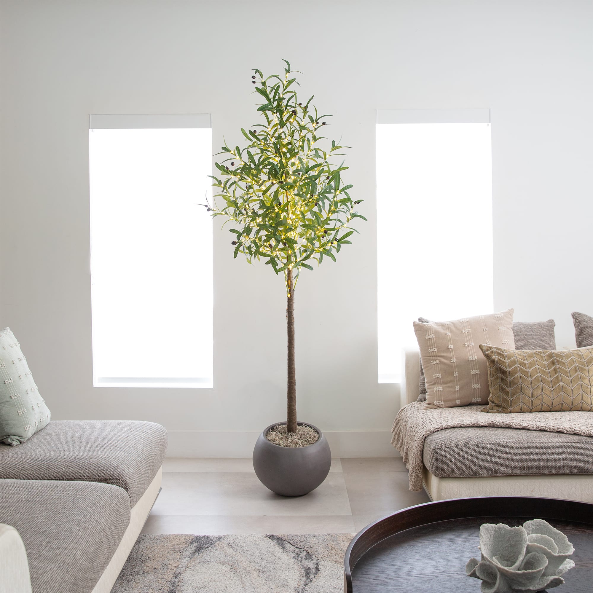 6ft. Potted Pre-Lit Artificial Olive Tree with Warm White LED Lights