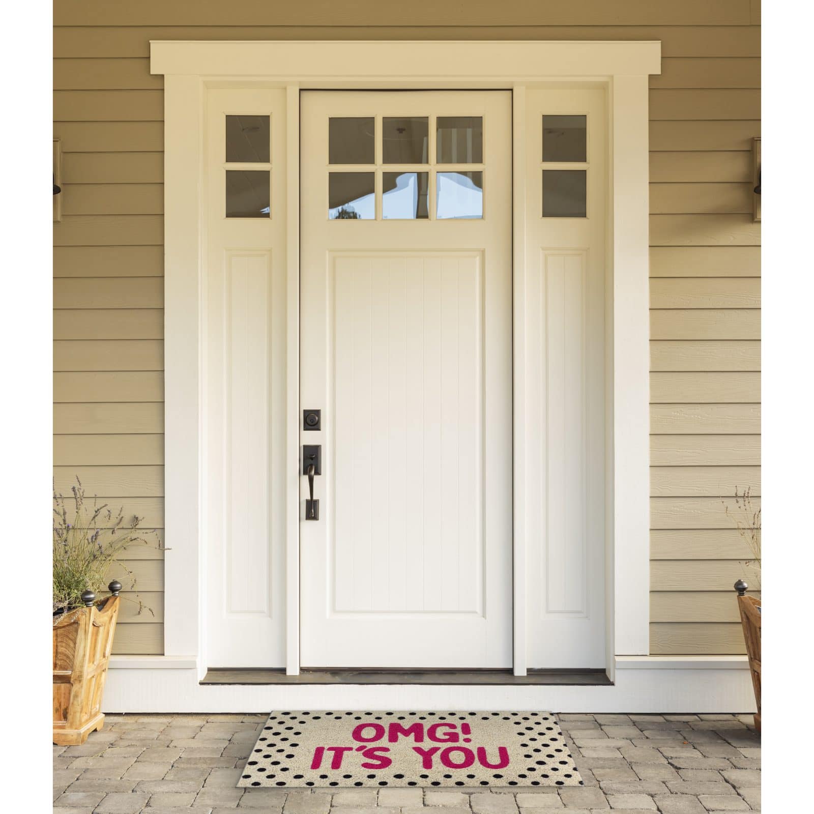 DII® OMG It's You Doormat