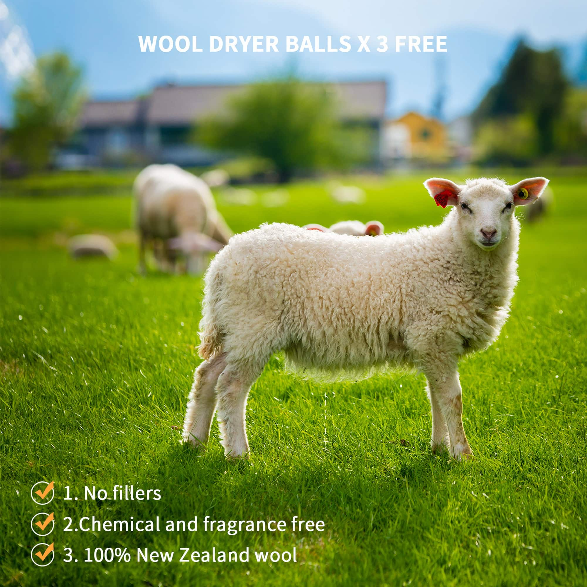 Welaxy Felt 3 Wool Dryer Balls with Gray Storage Tray