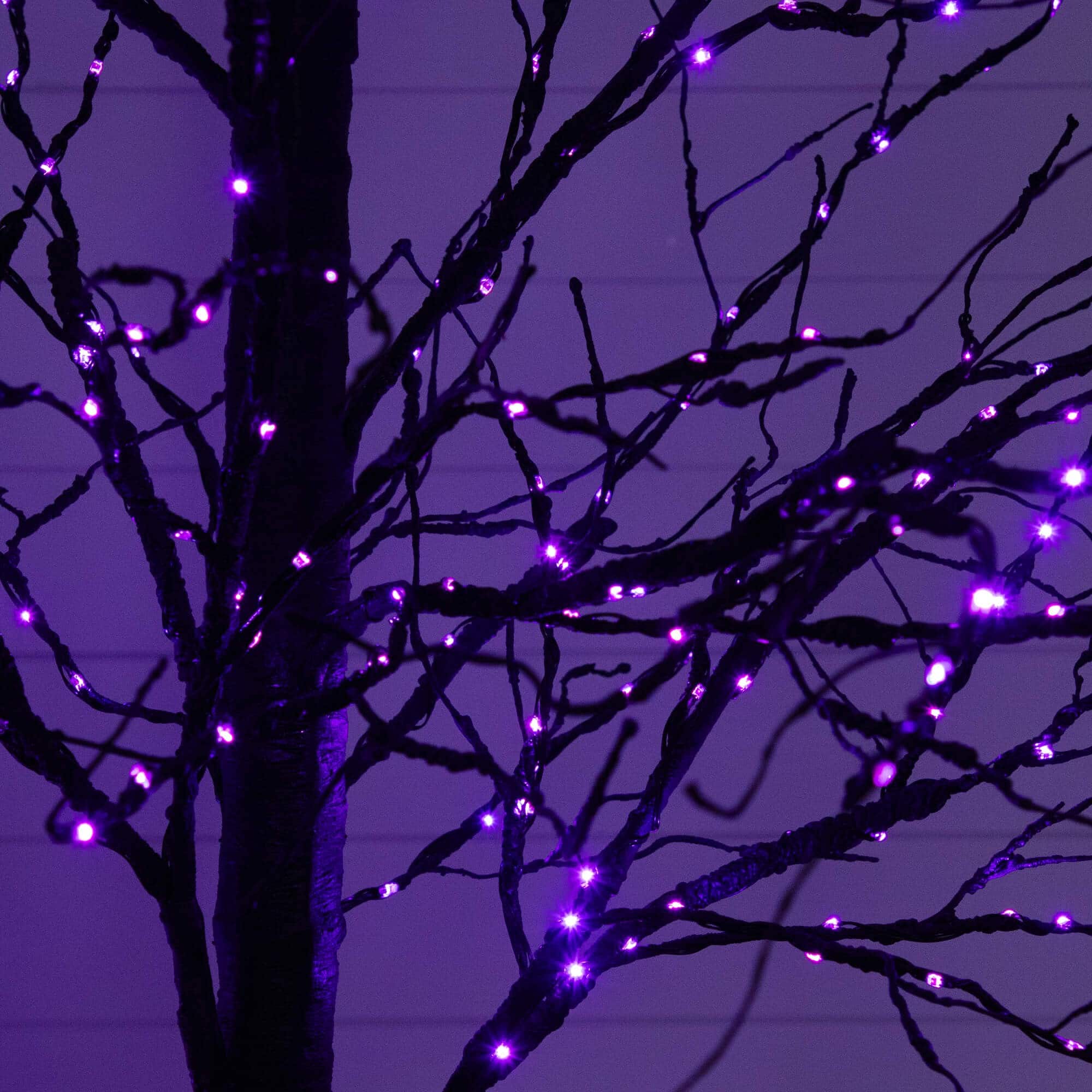 8ft. Pre-Lit Halloween Black Twig Artificial Tree with 510 Orange &#x26; Purple LED Lights